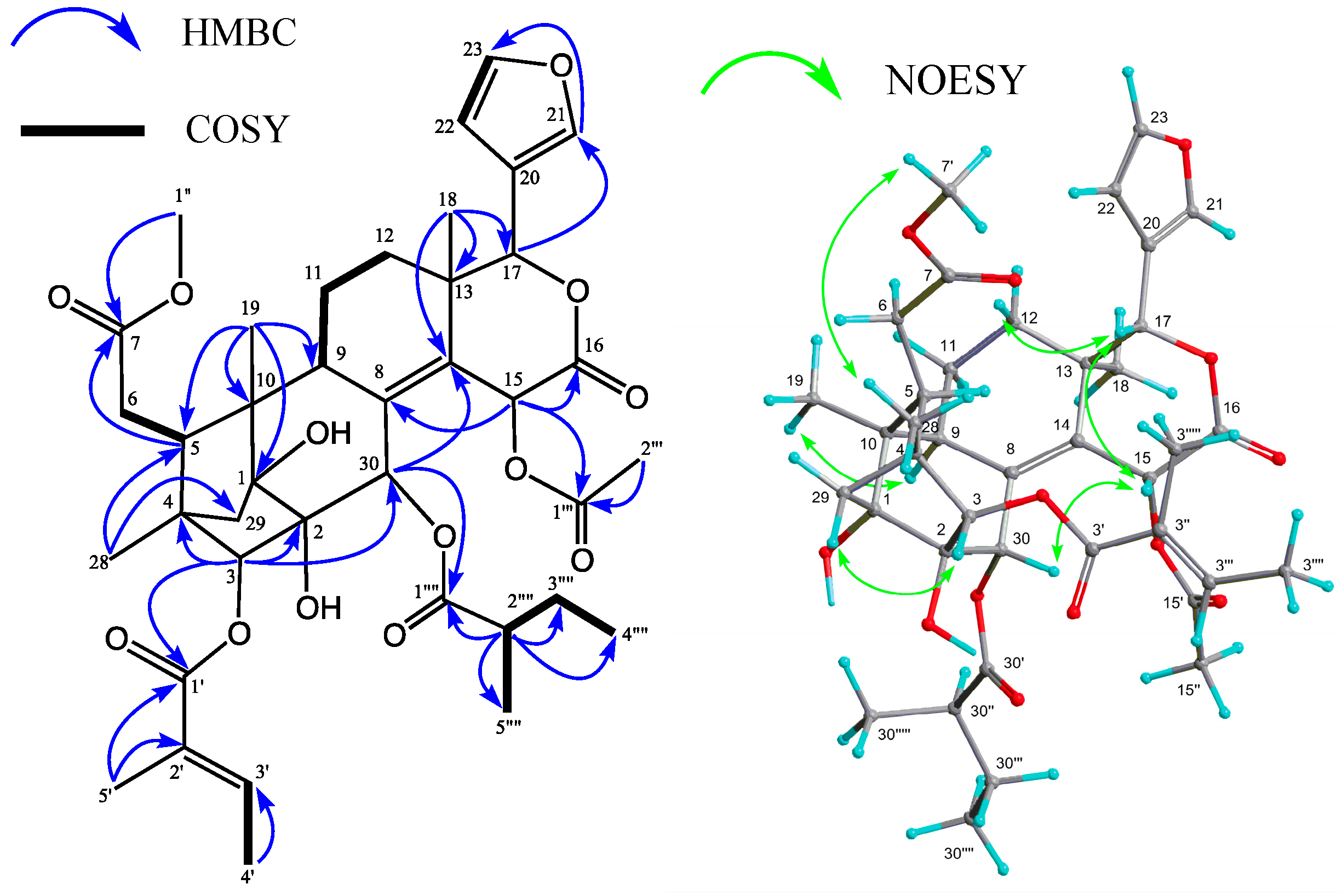 Molecules 19 17130 g003