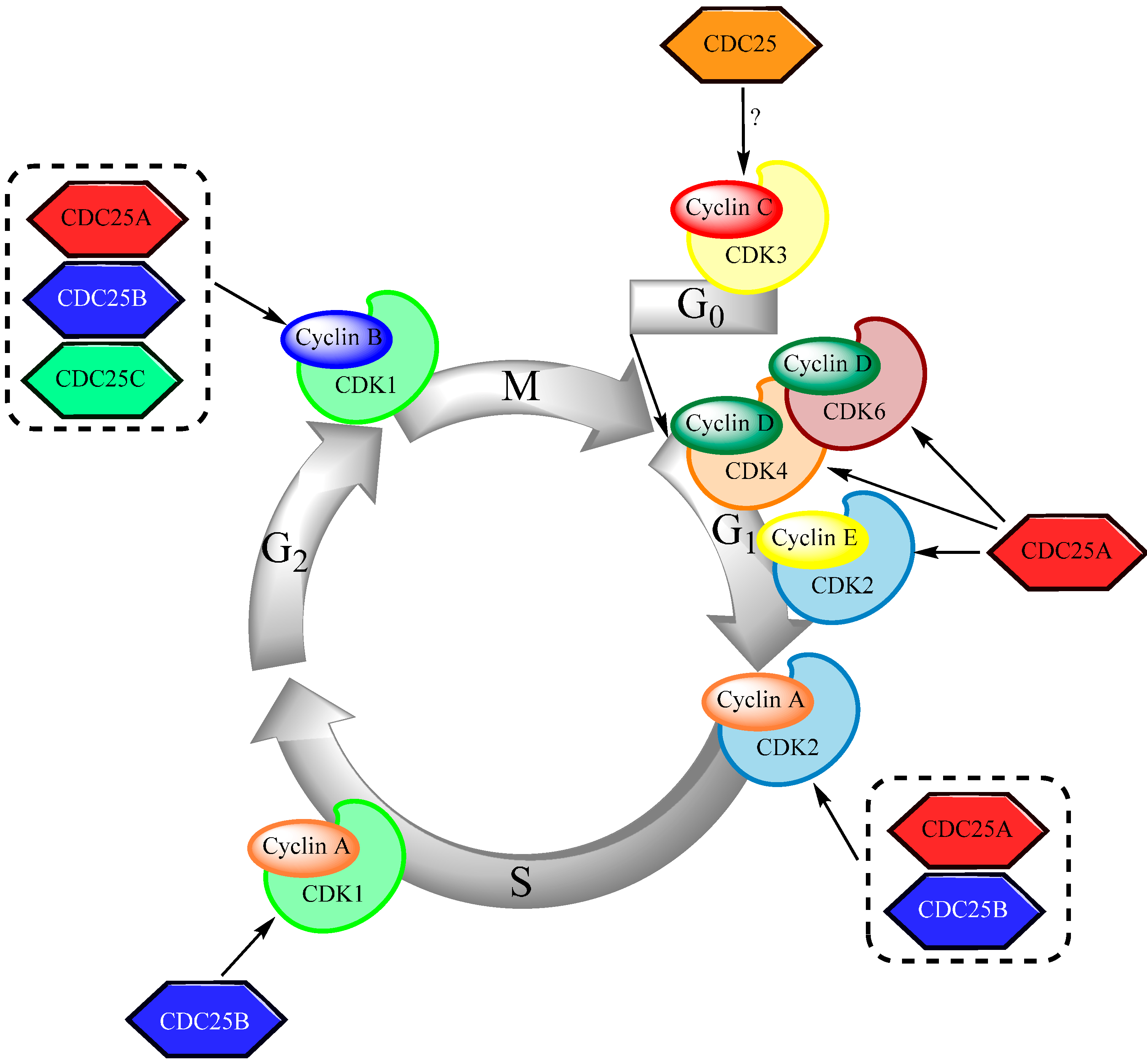 Molecules, Free Full-Text