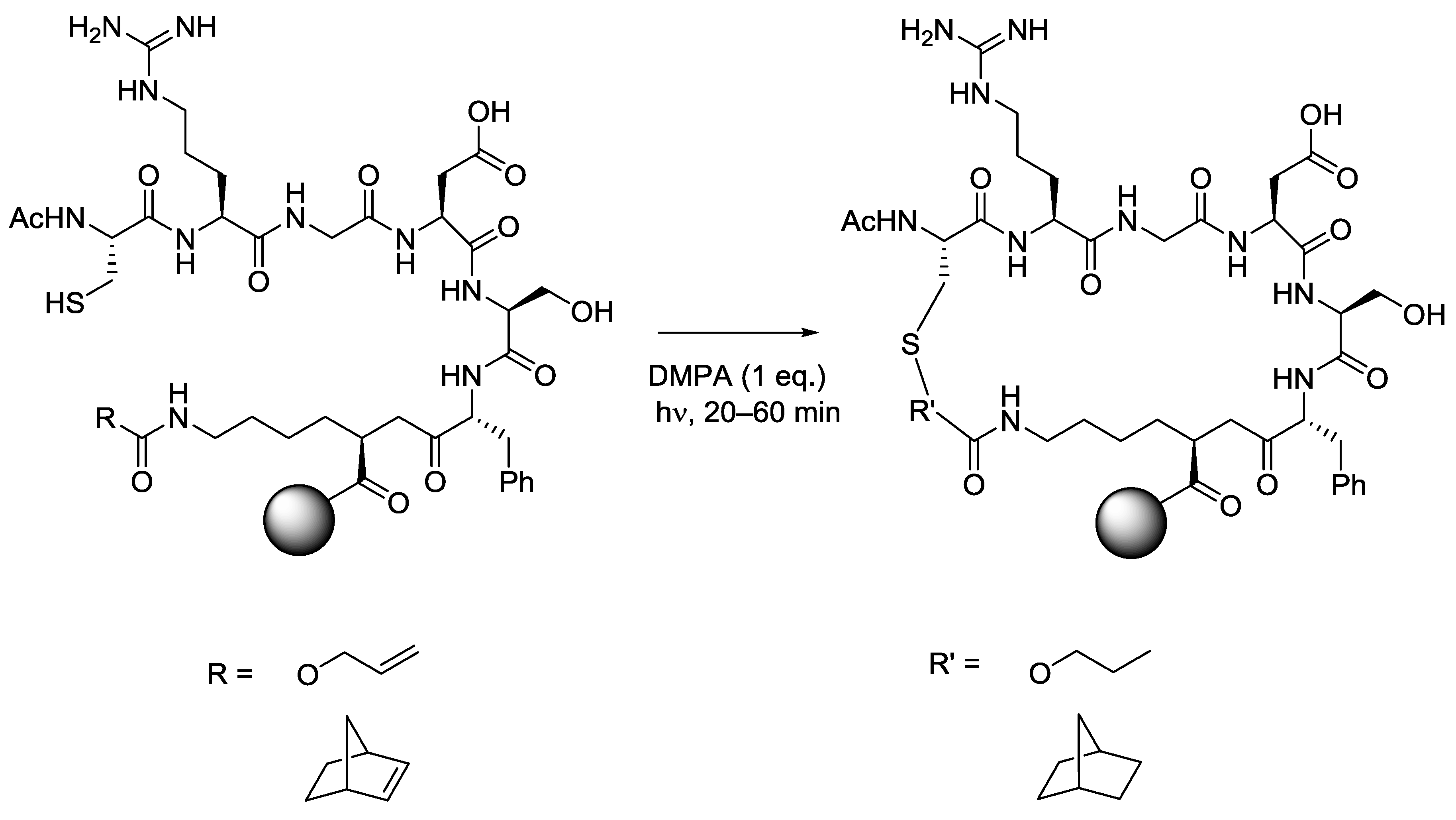 Molecules 19 19137 g010