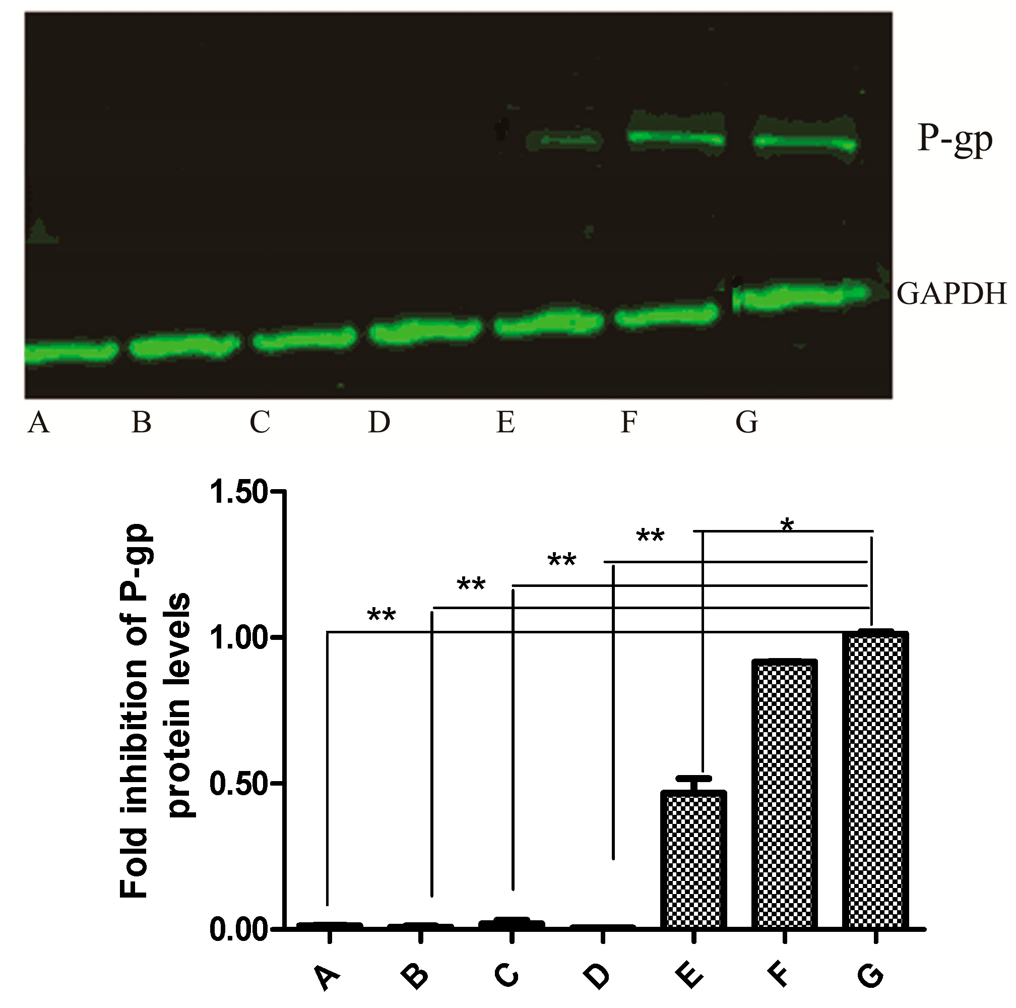 Molecules 20 02931 g006