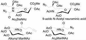 Molecules 20 03190 i002