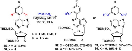 Molecules Free Full Text Modification Of Purine And Pyrimidine Nucleosides By Direct C H Bond Activation Html