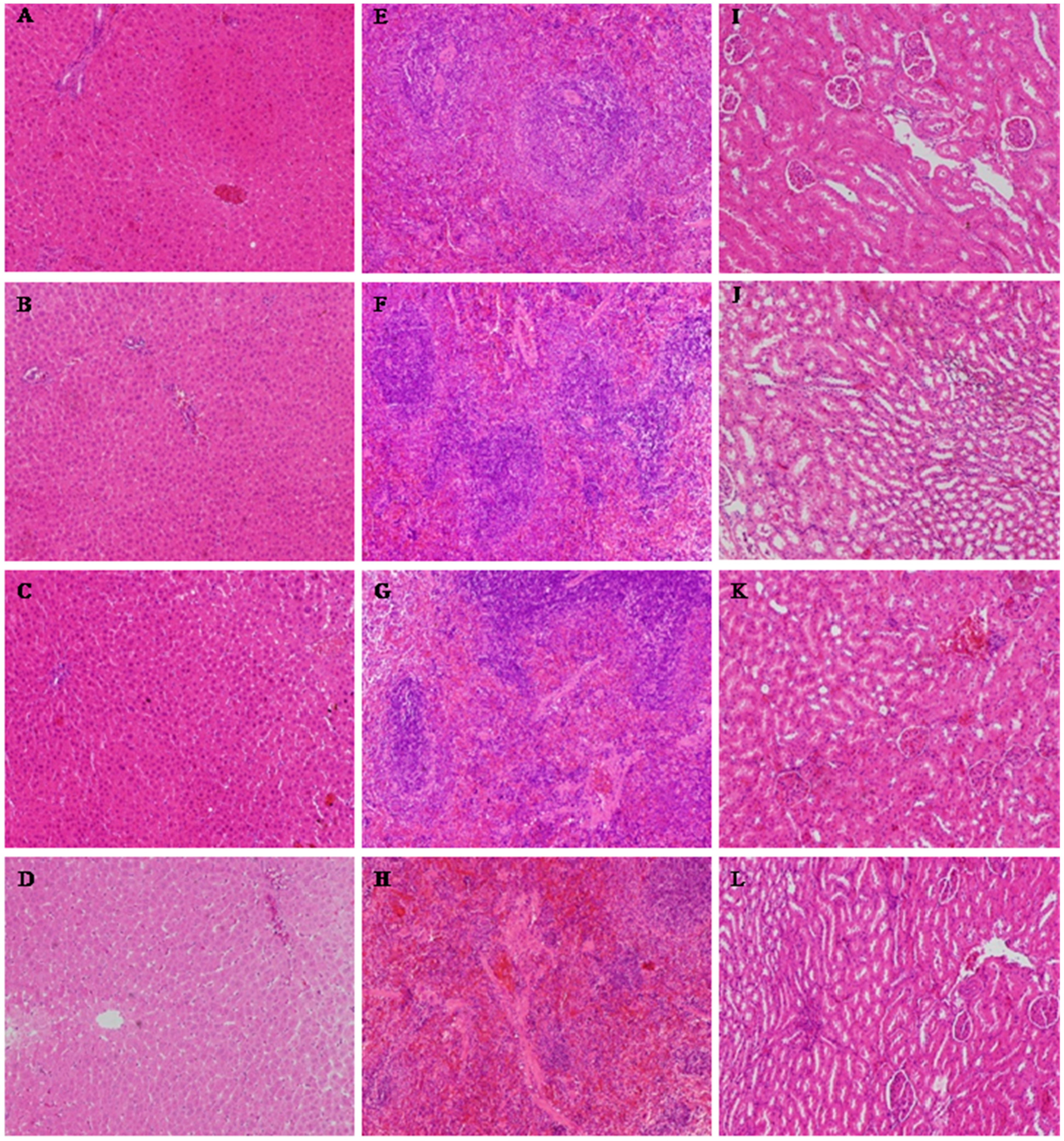 Molecules 20 05299 g003