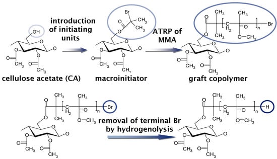 Molecules | Free Full-Text | Functional Thermoplastic Materials