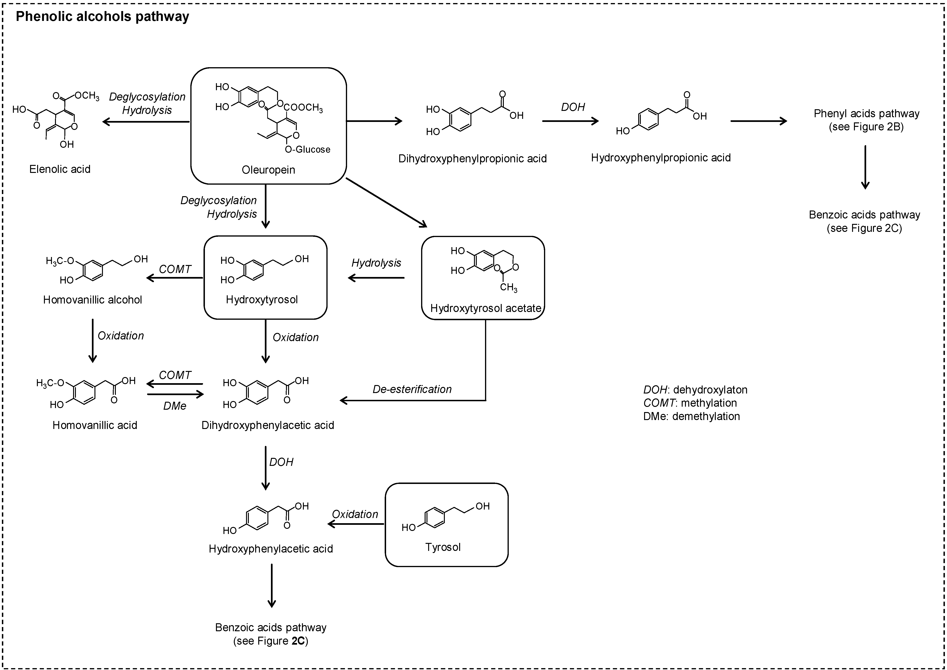 Molecules 20 17429 g007