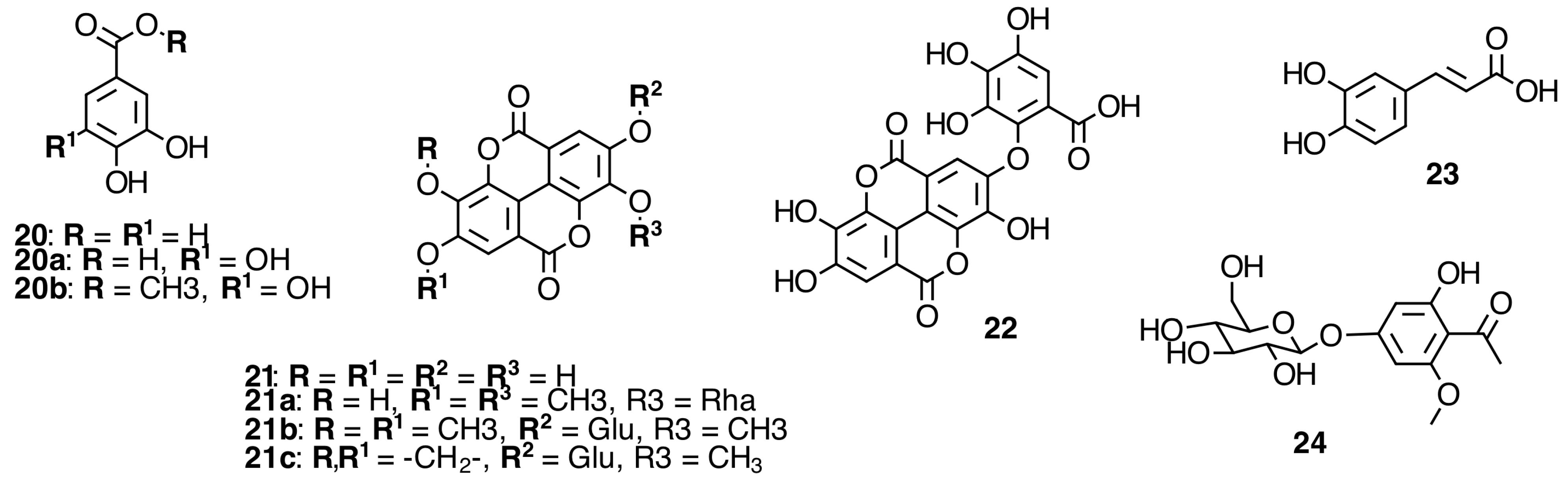 Molecules 20 17818 g005