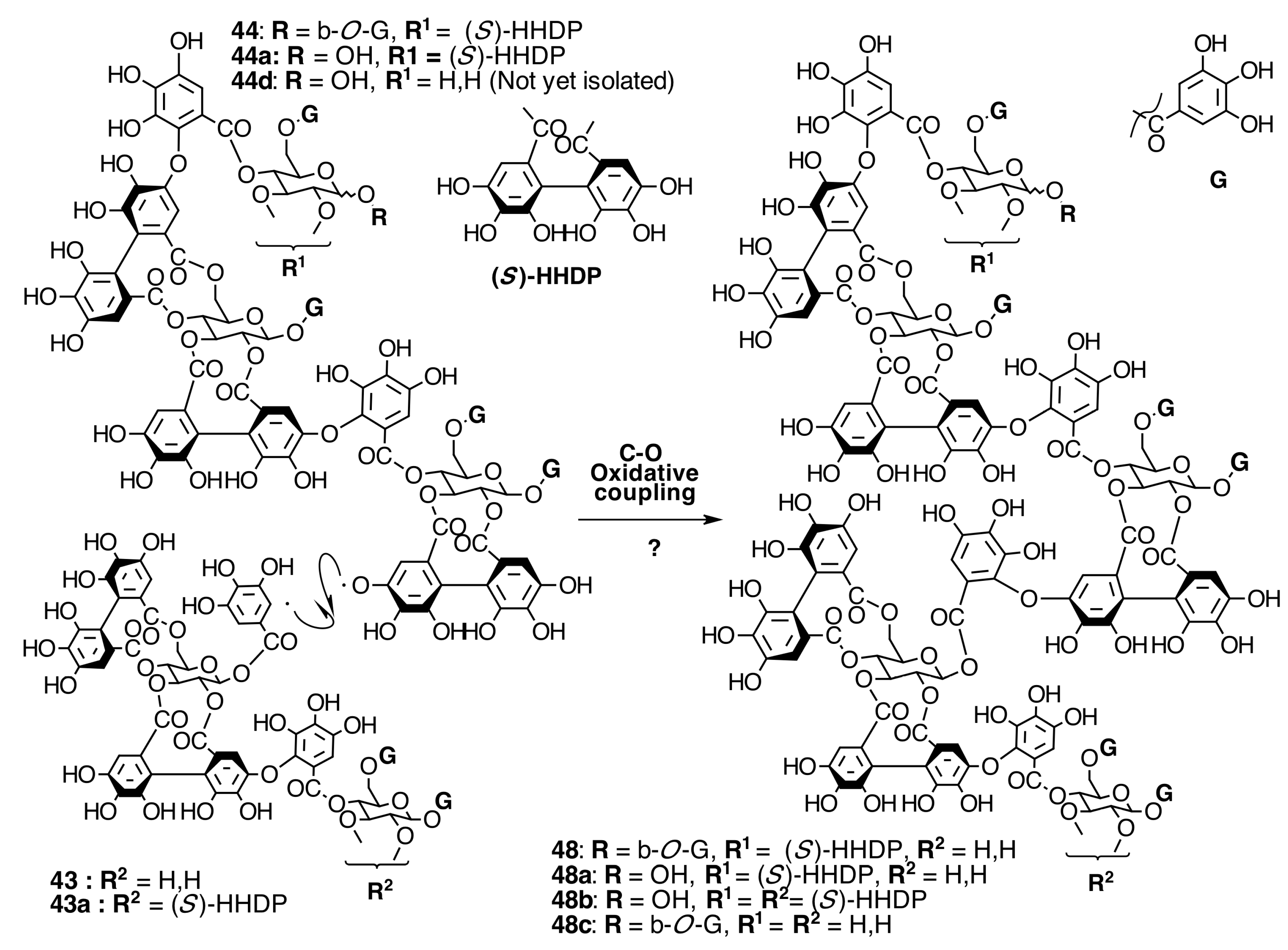 Molecules 20 17818 g022