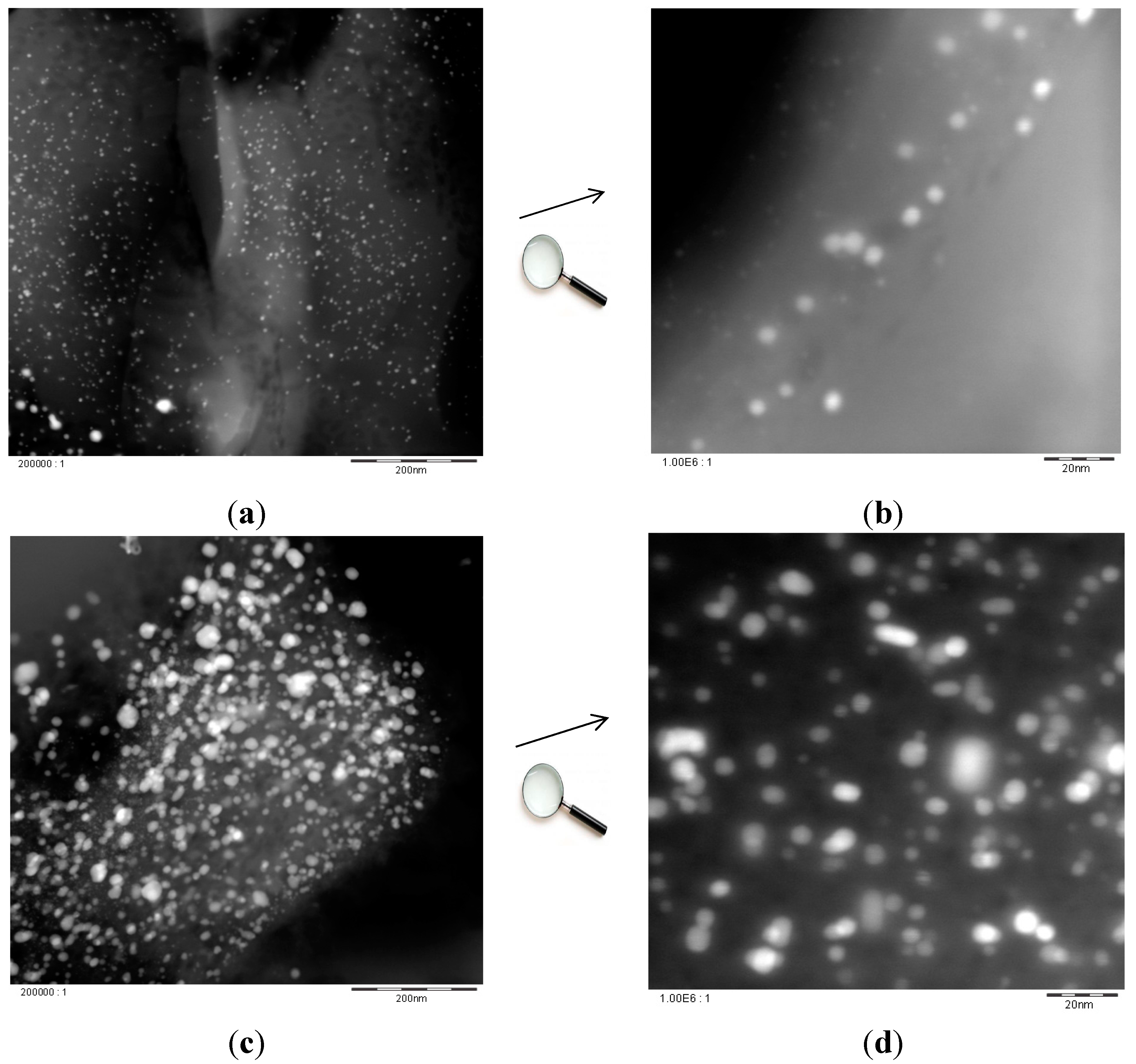 Molecules 21 00379 g004