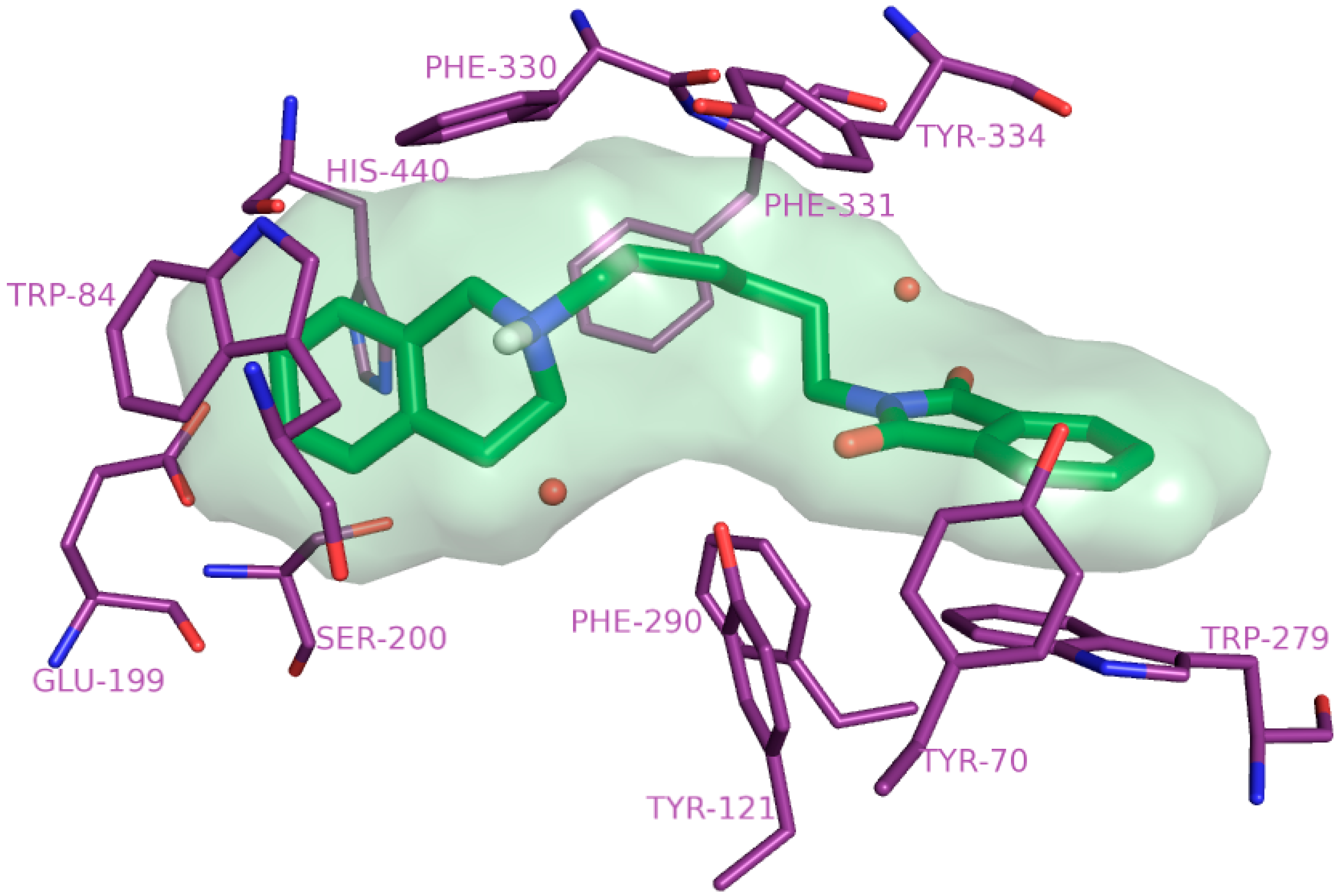 Molecular Dynamics Simulation Boundary Friction