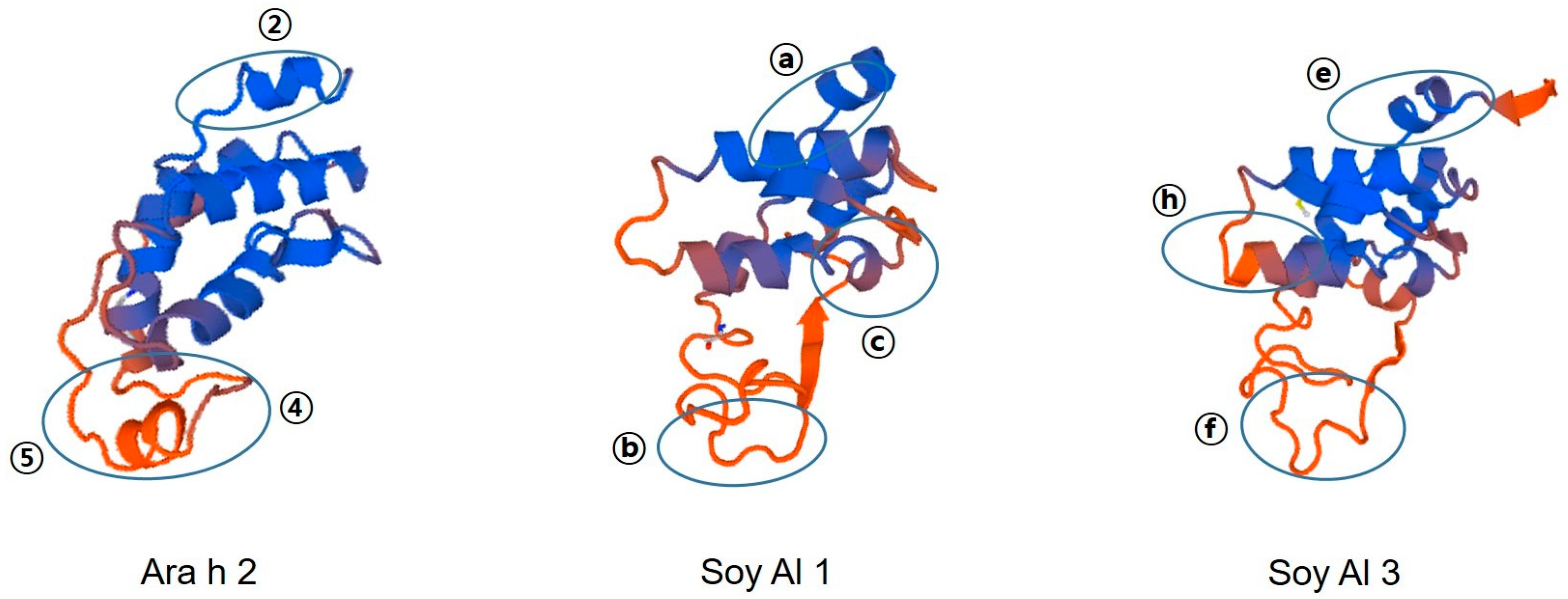 Molecules | Free Full-Text | What Characteristics Confer Proteins the  Ability to Induce Allergic Responses? IgE Epitope Mapping and Comparison of  the Structure of Soybean 2S Albumins and Ara h 2 | HTML