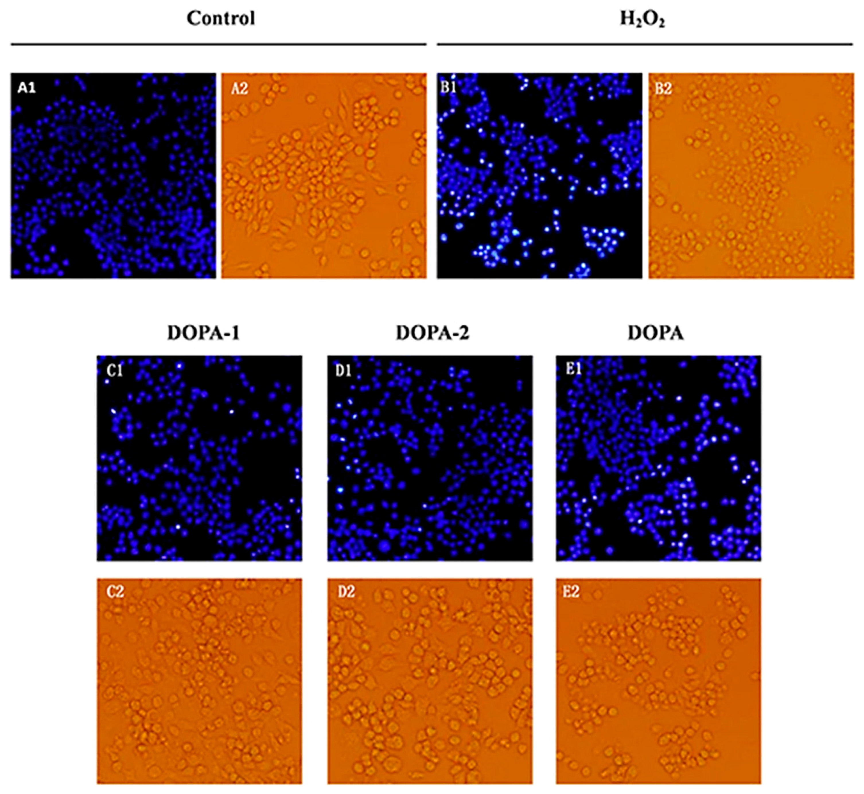 Molecules 21 00701 g007