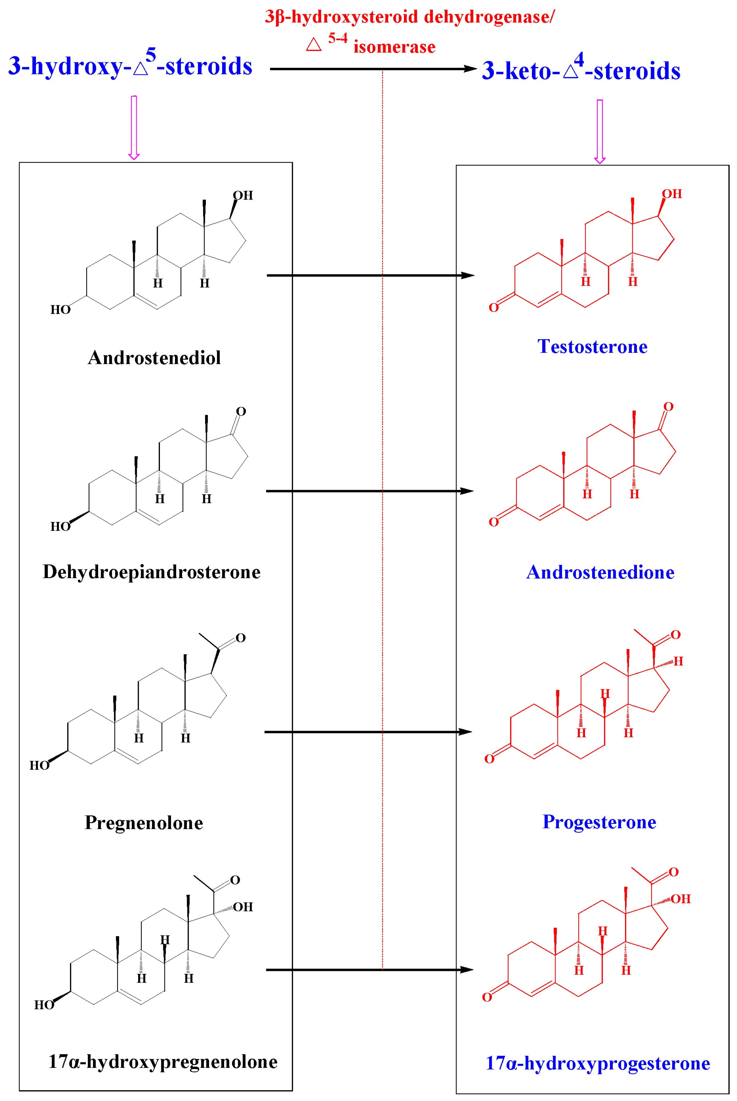 Molecules 21 00760 g007