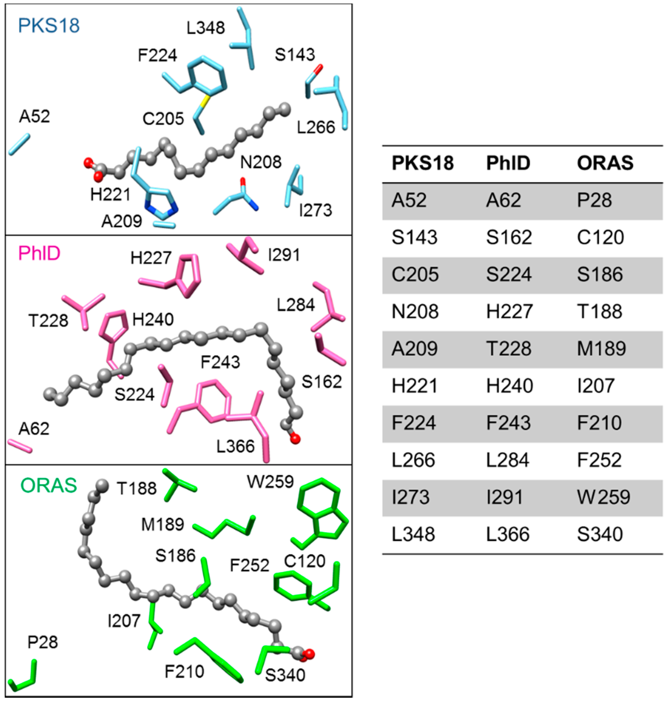 Molecules Free Full Text Exploiting The Biosynthetic Potential Of Type Iii Polyketide Synthases Html