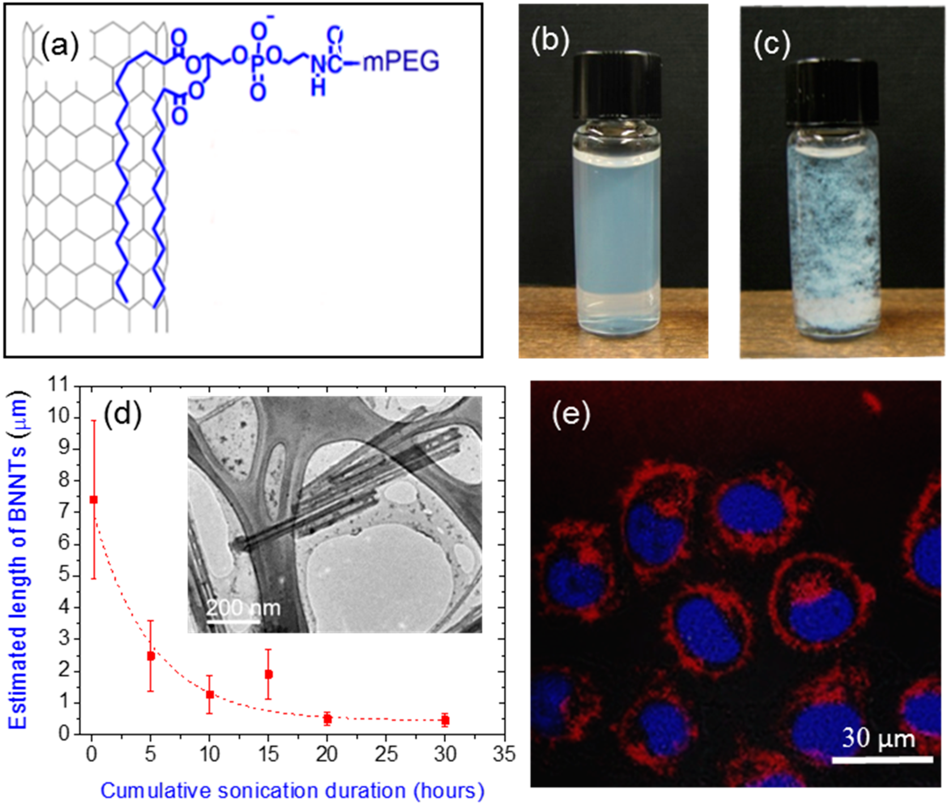 Молекула 21. Applications of Nitrides. Boron penetration enhanced by f..