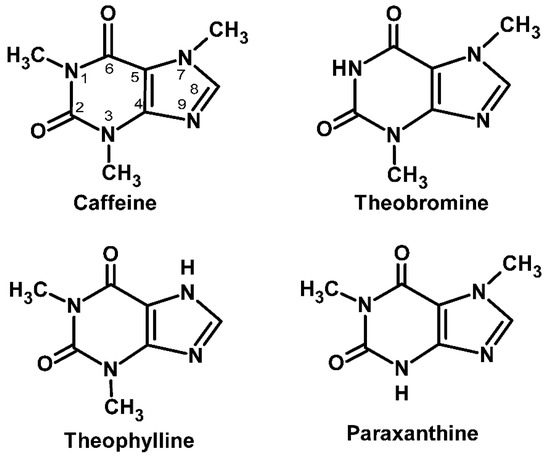 structure of theobromine