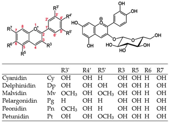 Molecules Free Full Text Cyanidin 3 O Glucoside Physical Chemistry Foodomics And Health Effects Html