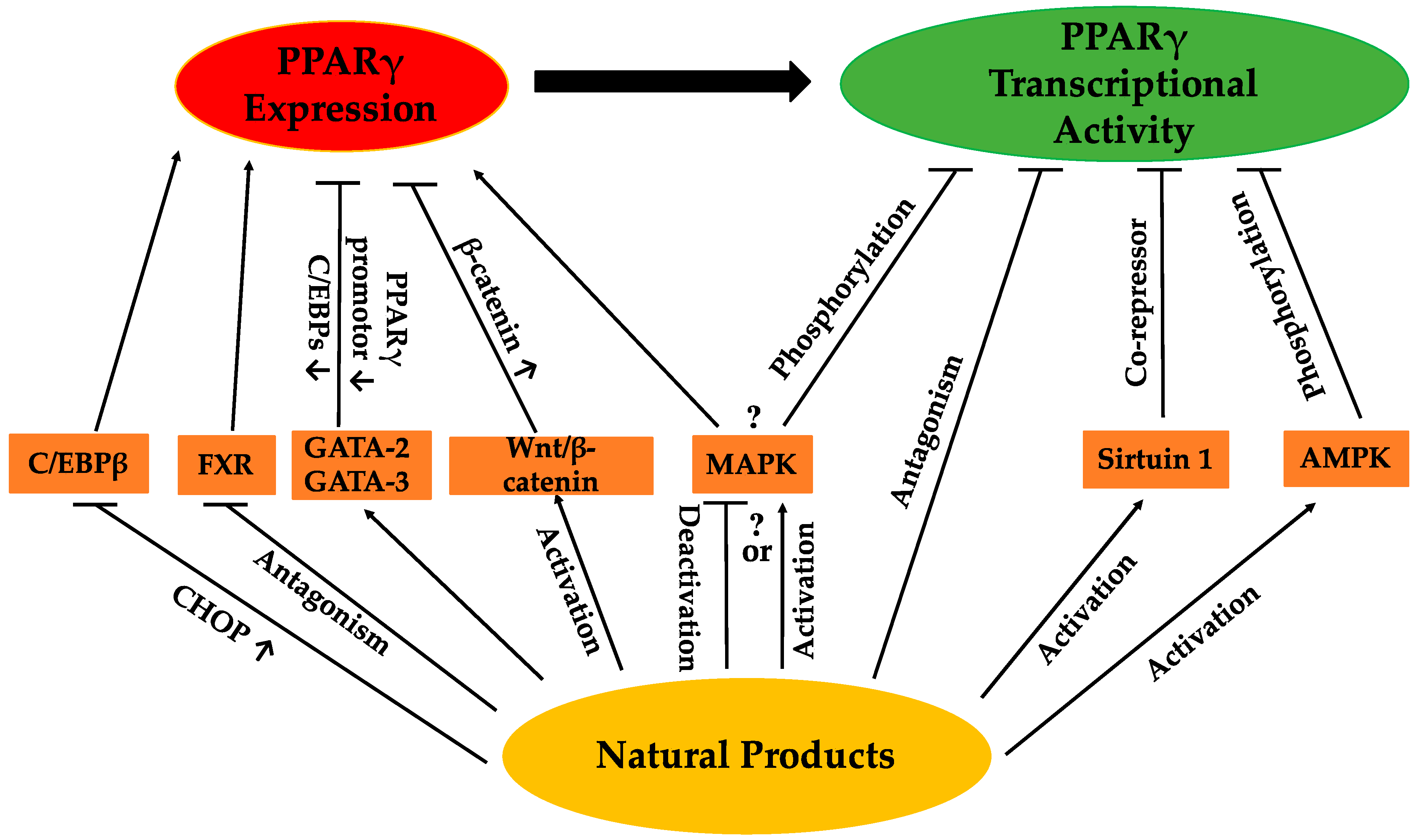 Molecules 21 01278 g002