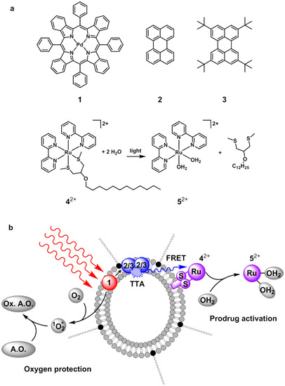 Molecules | Free Full-Text | Red Light Activation of Ru(II) Polypyridyl  Prodrugs via Triplet-Triplet Annihilation Upconversion: Feasibility in Air  and through Meat | HTML