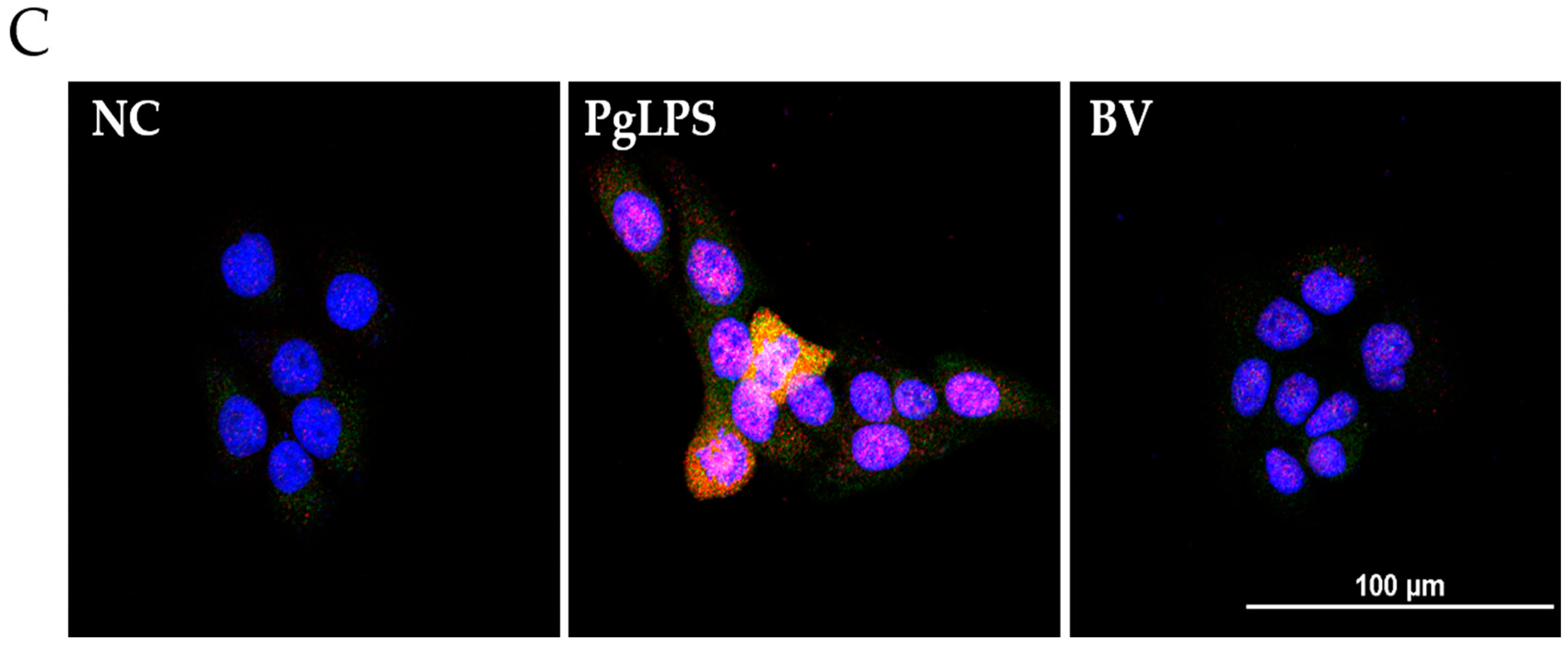 Molecules Free Full Text Bee Venom Inhibits