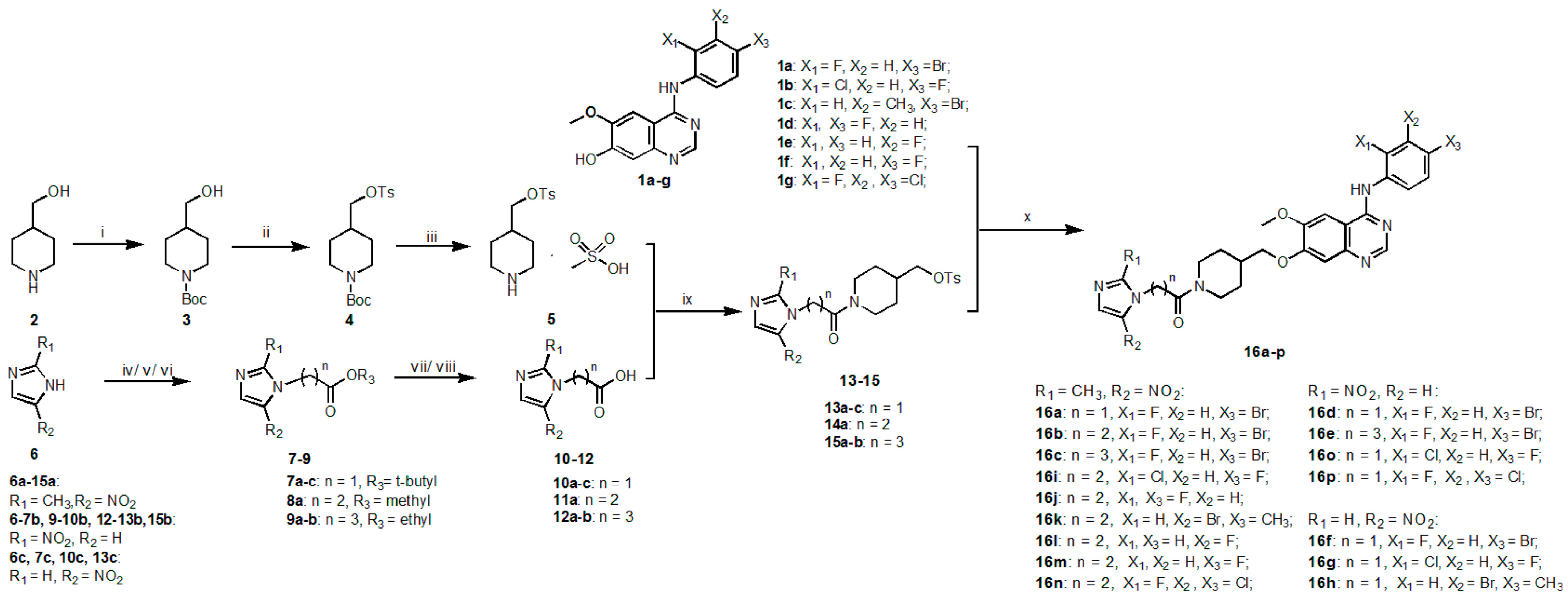 Molecules Free Full Text Design And Synthesis Of Vandetanib Derivatives Containing Nitroimidazole Groups As Tyrosine Kinase Inhibitors In Normoxia And Hypoxia Html