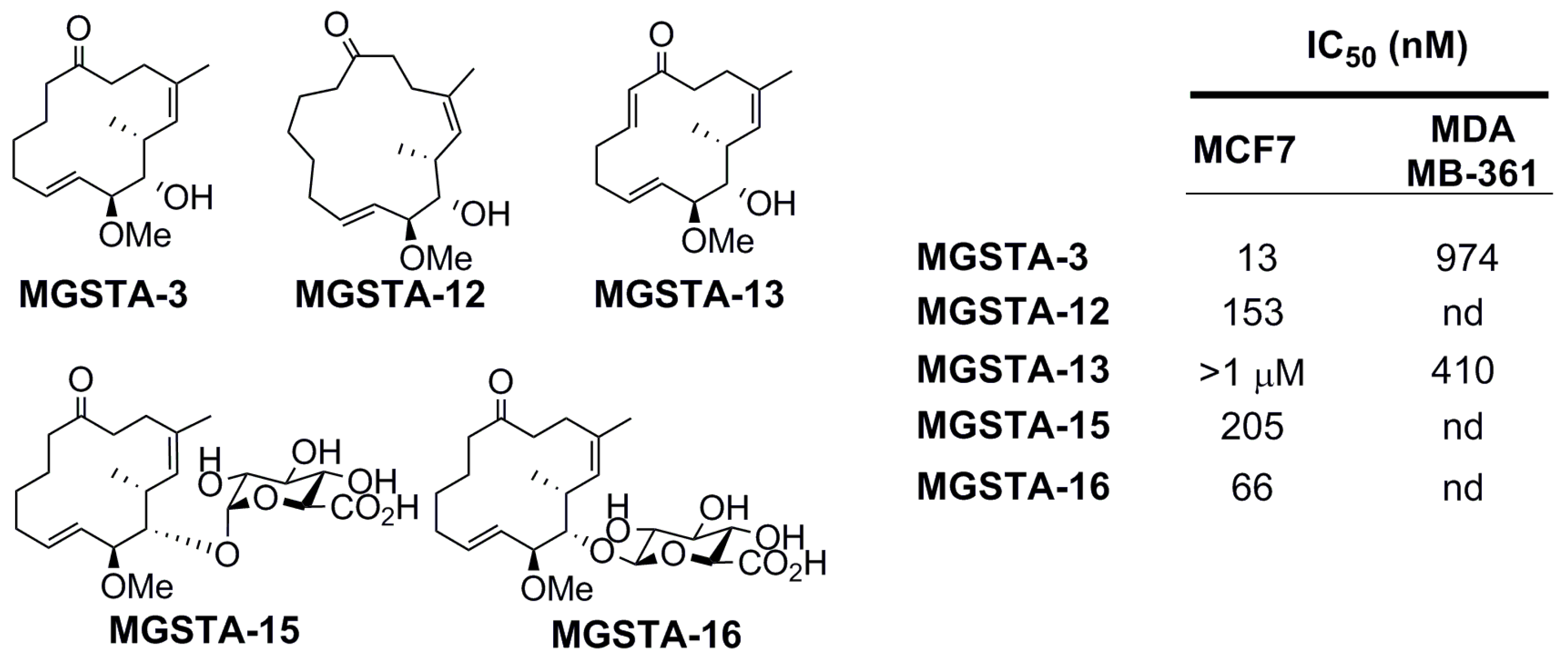 Molecules Free Full Text The Therapeutic Potential Of - 