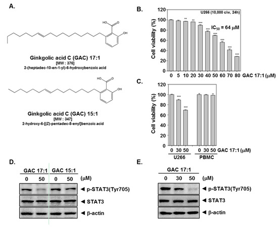 Molecules Free Full Text Ginkgolic Acid C 17 1 Derived From Ginkgo Biloba Leaves Suppresses Constitutive And Inducible Stat3 Activation Through Induction Of Pten And Shp 1 Tyrosine Phosphatase Html