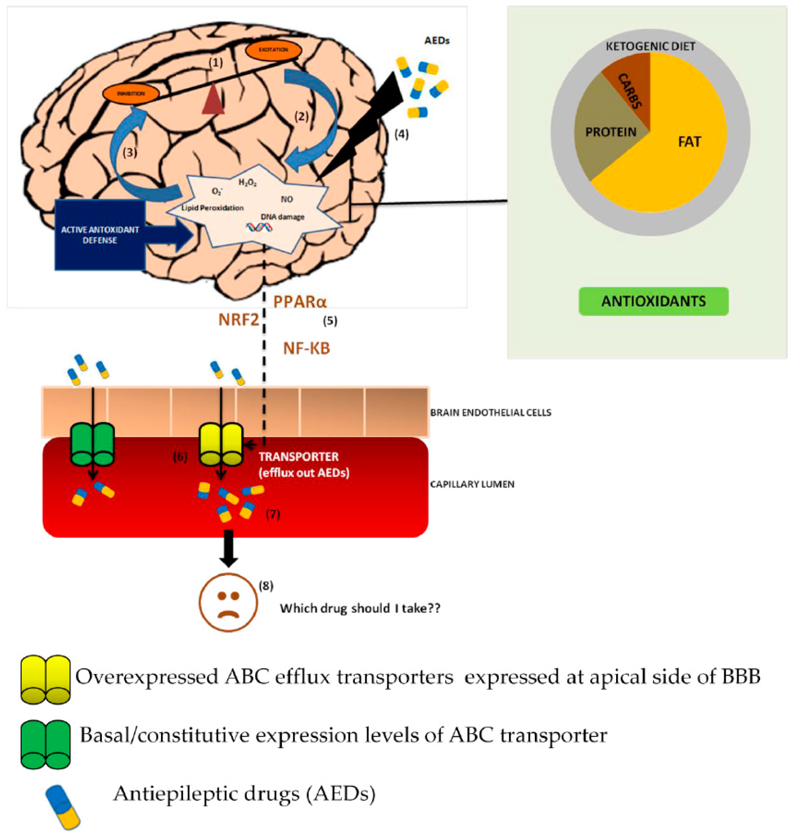 Molecules 22 00365 g001