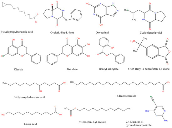 halophilic bacteria