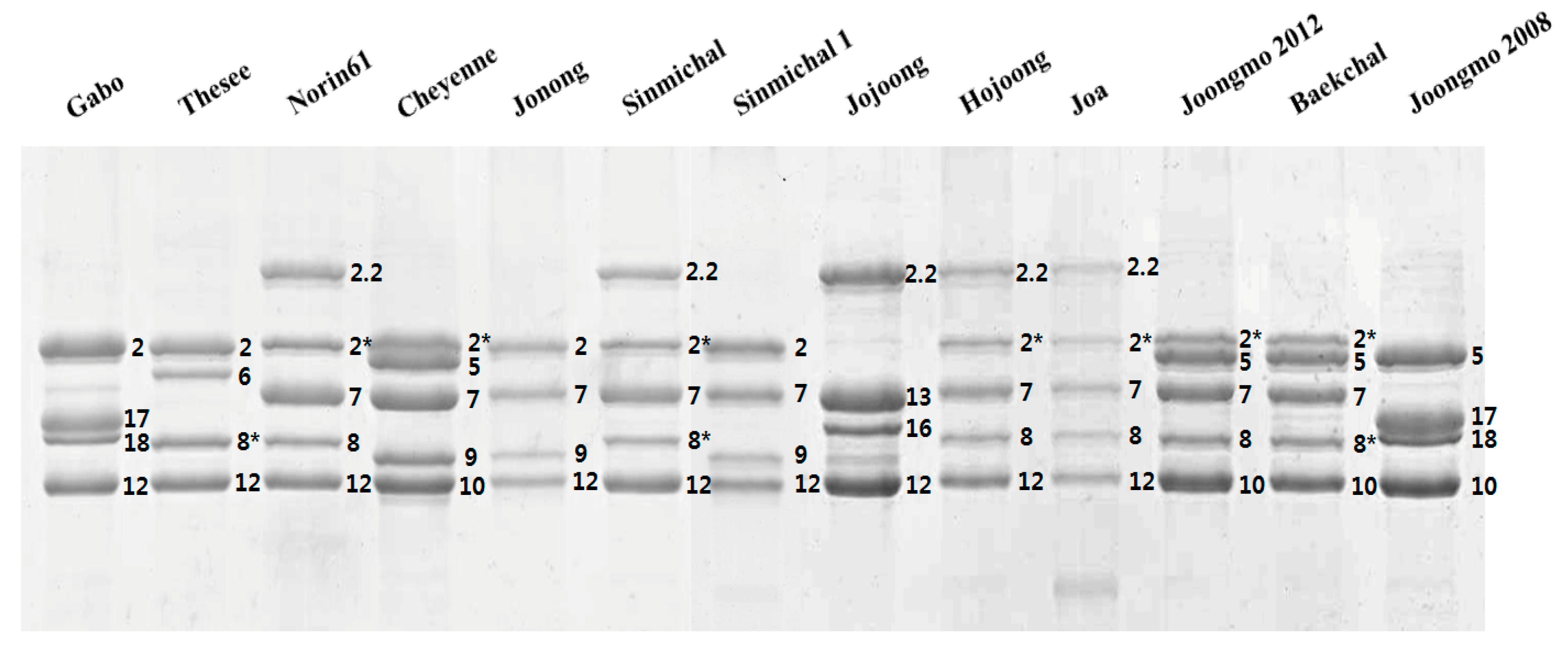 Molecules 22 01055 g005