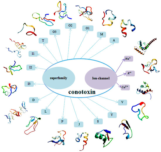 Molecules | Free Full-Text | Recent Advances in Conotoxin Classification by  Using Machine Learning Methods | HTML