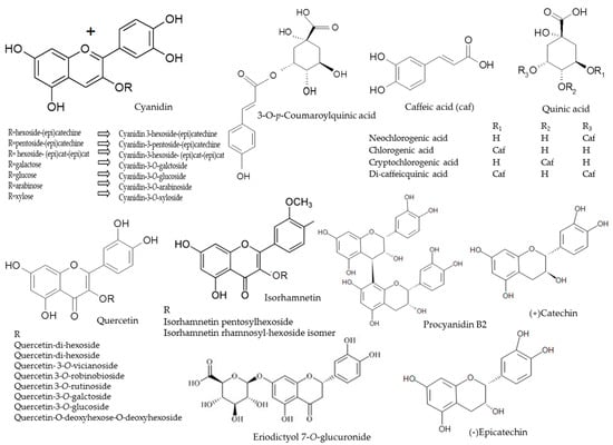 Molecules | Free Full-Text | Effect Of UV-C Radiation, Ultra-Sonication ...