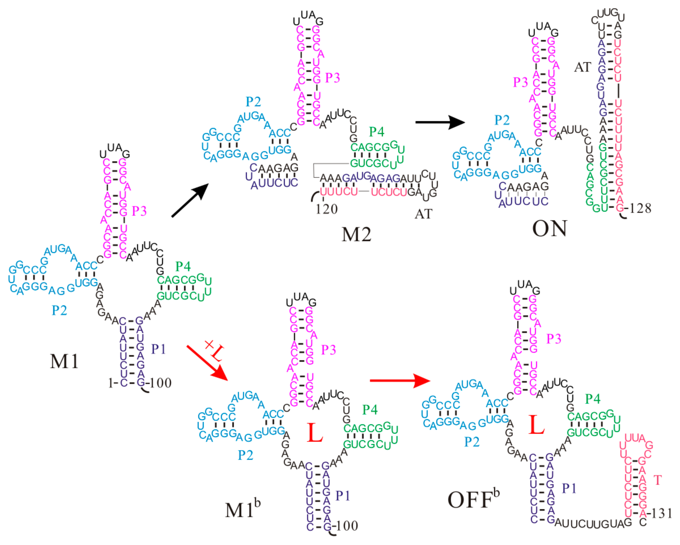 Molecules 22 01169 g003