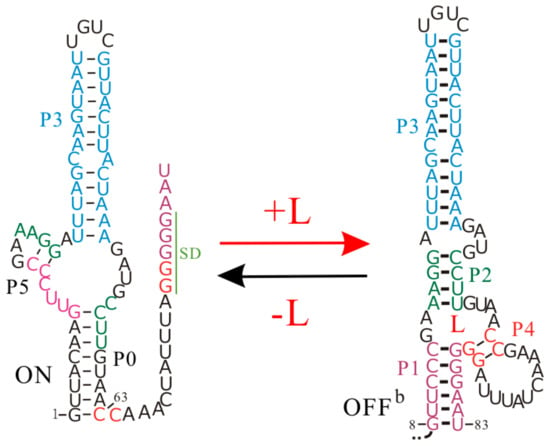 Molecules Free Full Text Co Transcriptional Folding And Regulation Mechanisms Of Riboswitches Html