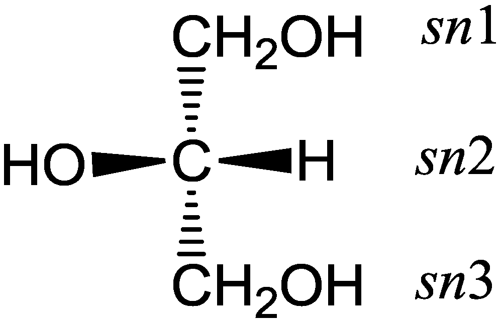 Molecules 22 01663 g002 Molecules 22 01663 g002