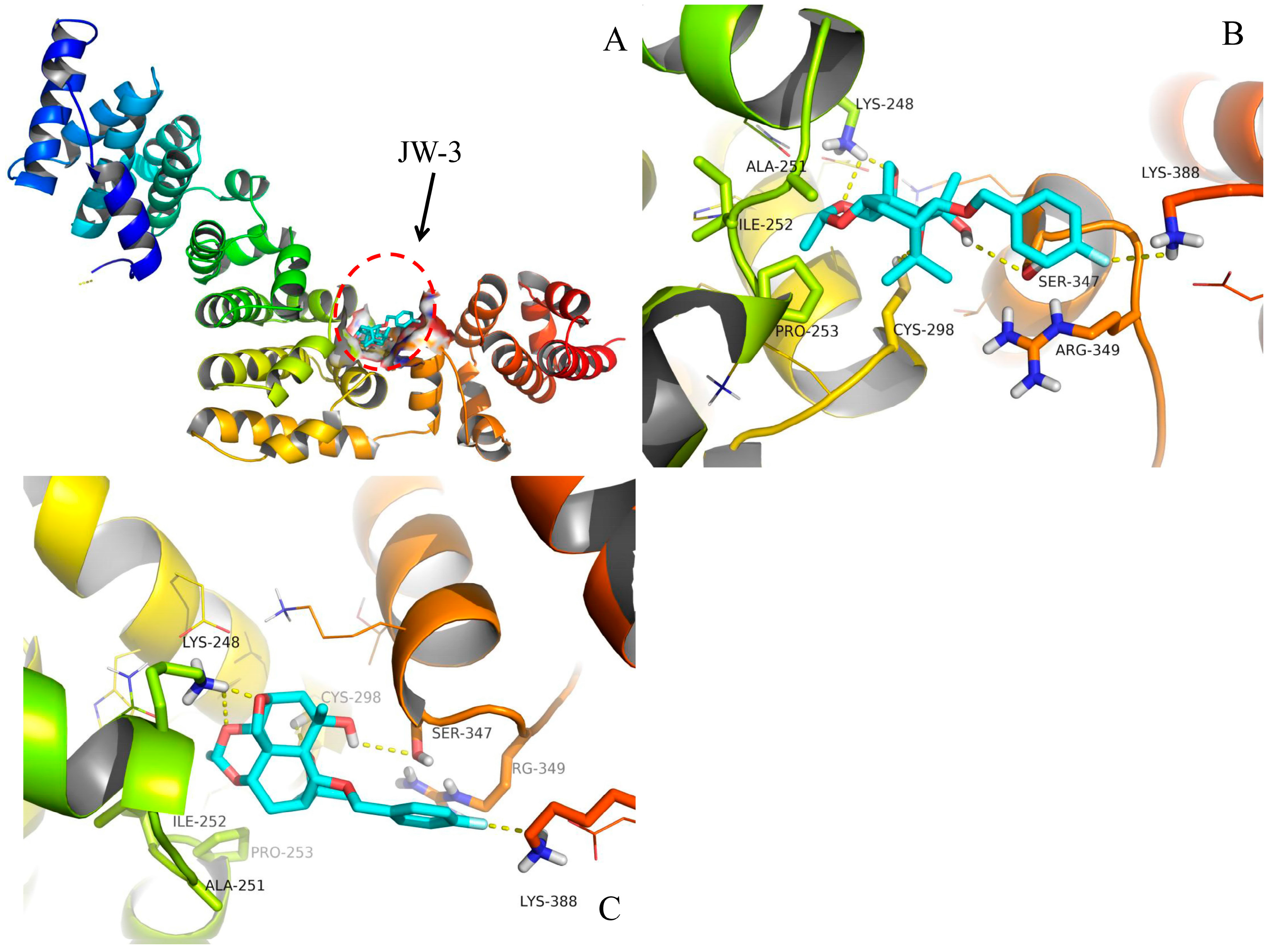 Molecules Free Full Text Molecular Insights Into The Potential Insecticidal Interaction Of B Dihydroagarofuran Derivatives With The H Subunit Of V Atpase Html