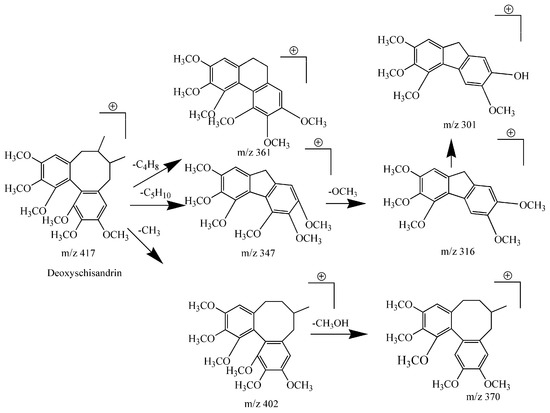 Molecules Free Full Text Rapid Classification And Identification Of Chemical Components Of Schisandra Chinensis By Uplc Q Tof Ms Combined With Data Post Processing Html