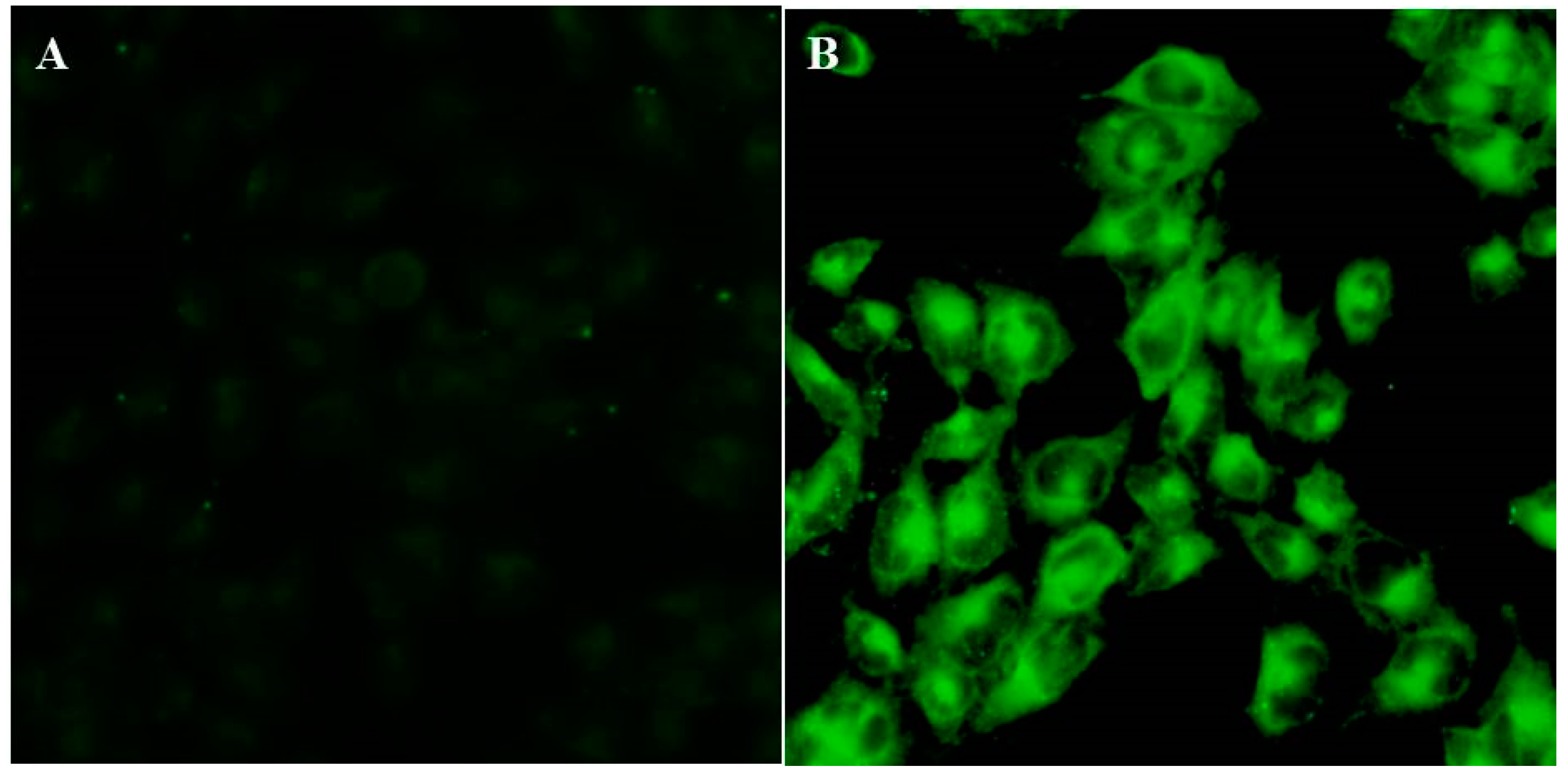 Molecules 22 02040 g006 Molecules 22 02040 g006