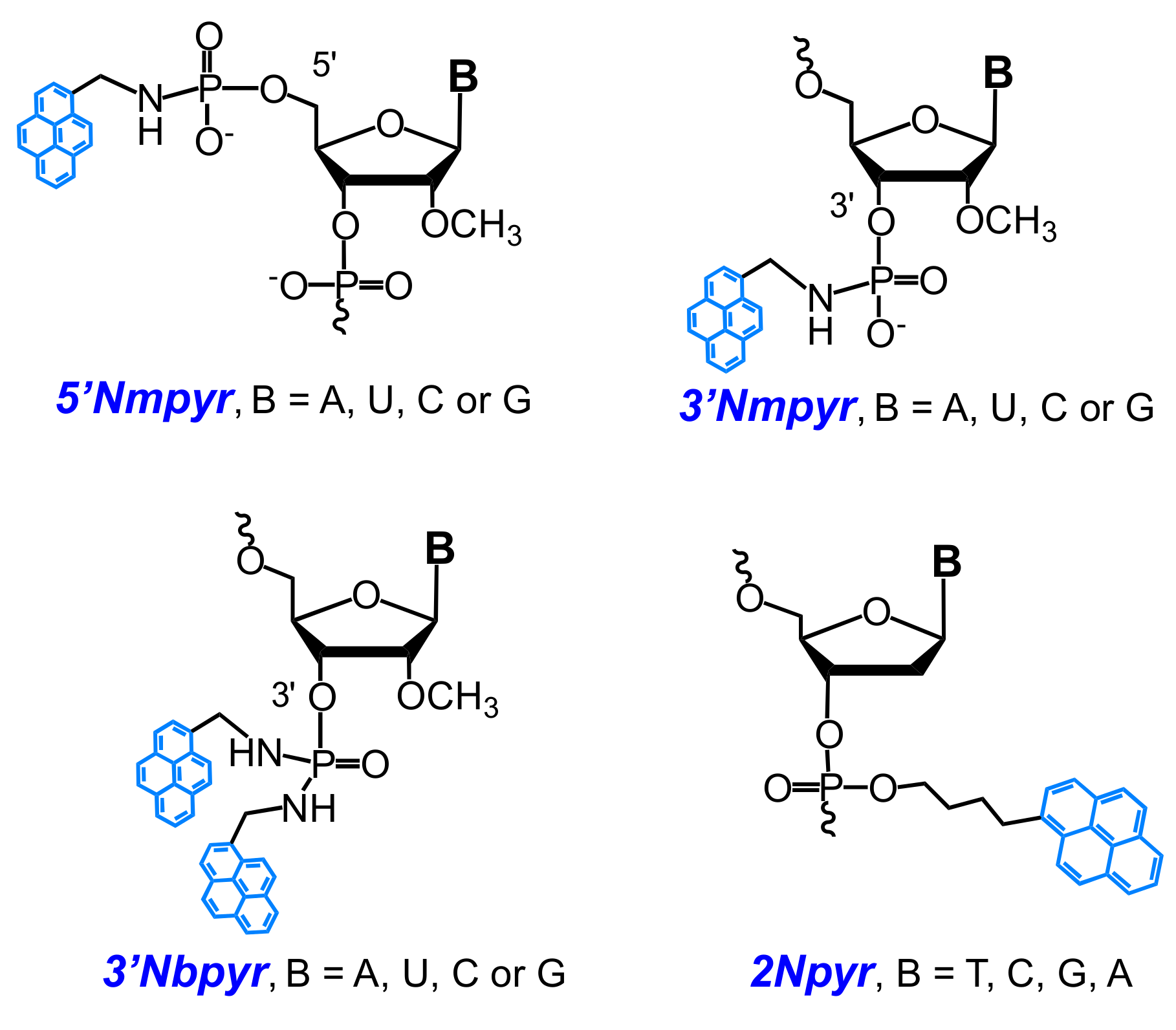 Molecules Free Full Text Recent Advances In Nucleic Acid Targeting Probes And Supramolecular Constructs Based On Pyrene Modified Oligonucleotides Html