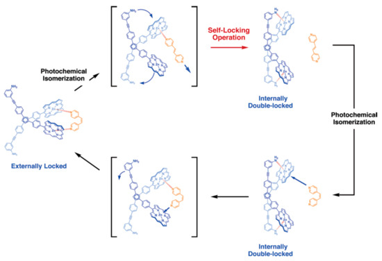 A Novel Immunogenic Cell Death Inducer Based on Bimetallic Ferrocene  Substituted Organotin Complexes - He - 2023 - ChemistrySelect - Wiley  Online Library