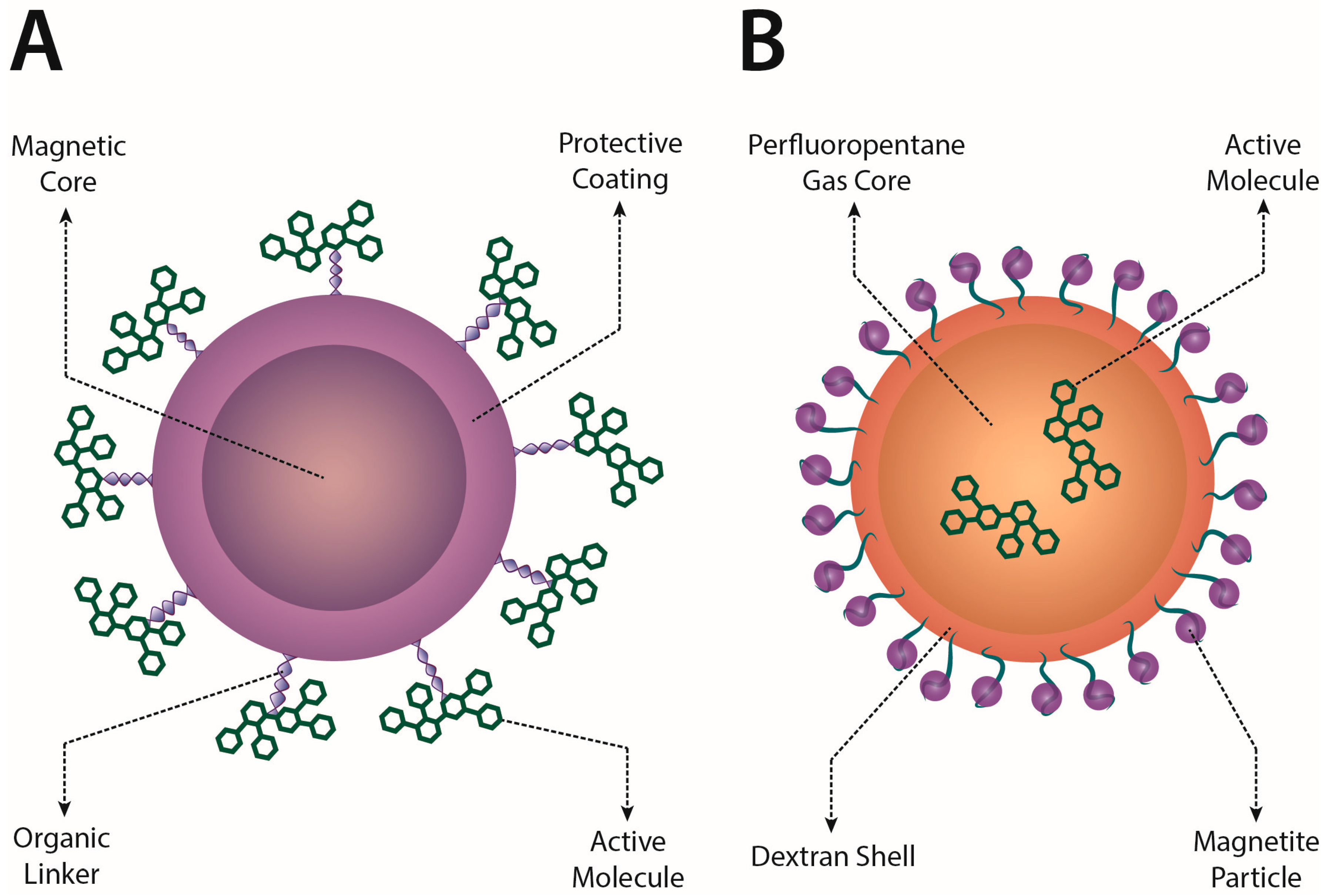 Molecules | Free Full-Text | Magnetic Nanoparticles in the Central Nervous  System: Targeting Principles, Applications and Safety Issues