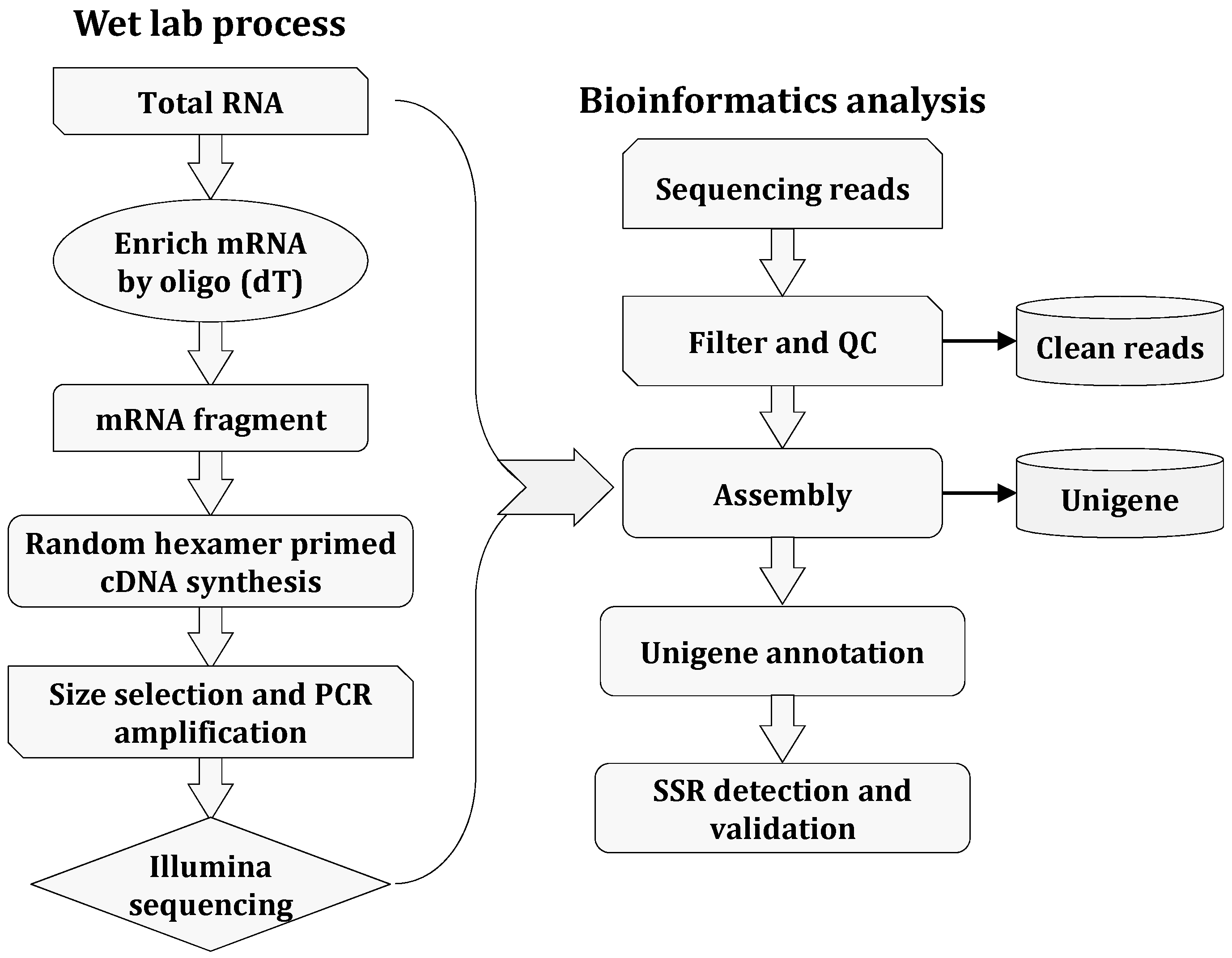 Molecules | Free Full-Text | Mining and Development of Novel SSR Markers  Using Next Generation Sequencing (NGS) Data in Plants | HTML