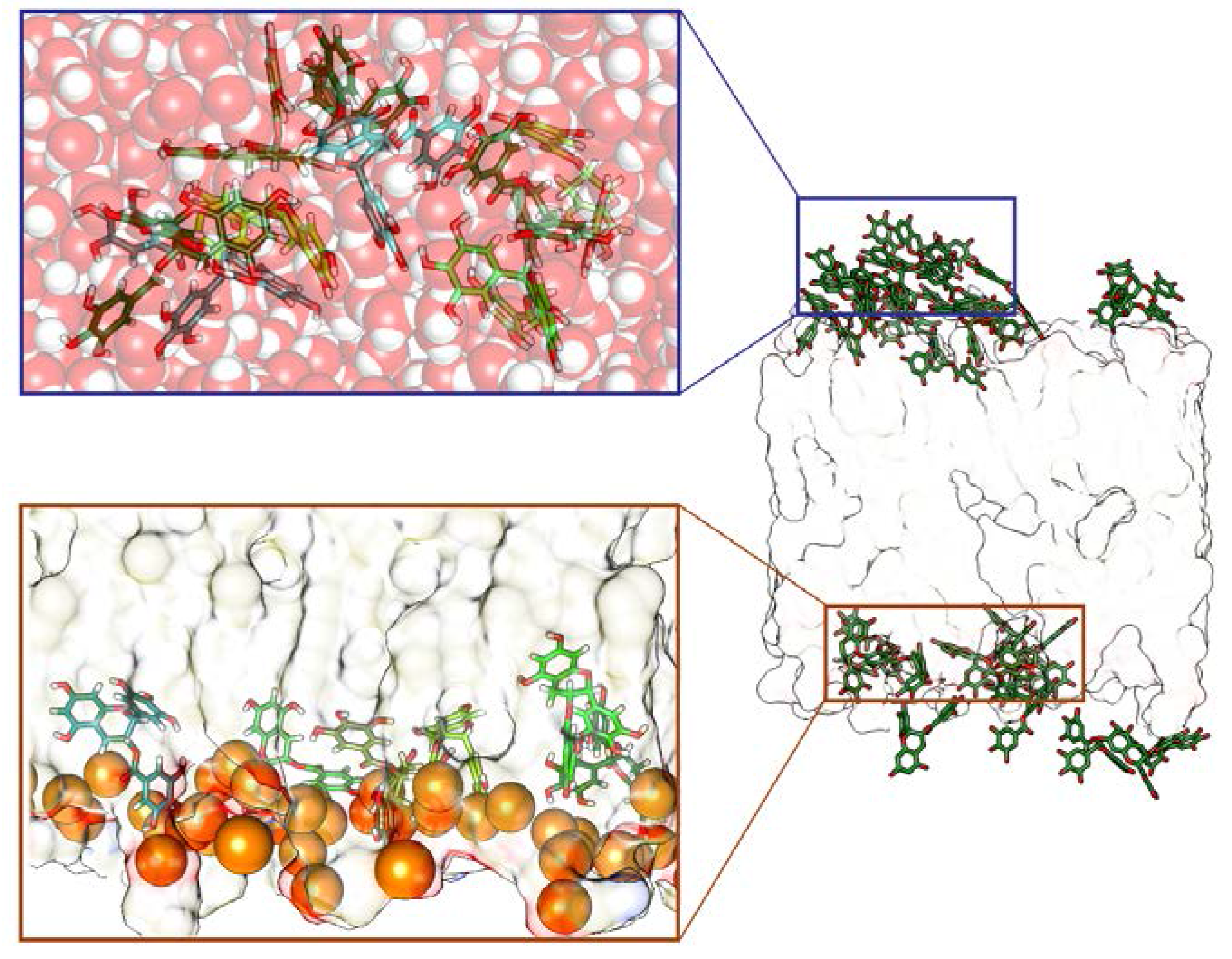 Molecules 23 00441 g002 Molecules 23 00441 g002