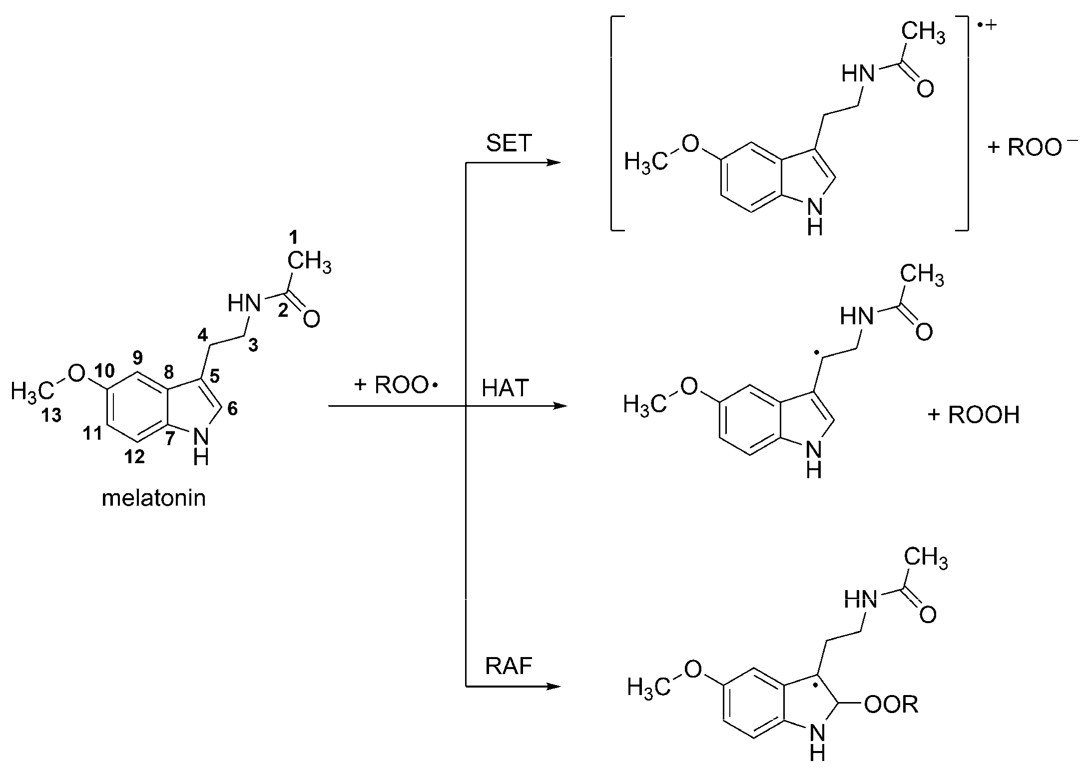 Molecules 23 00530 sch002 Molecules 23 00530 sch002