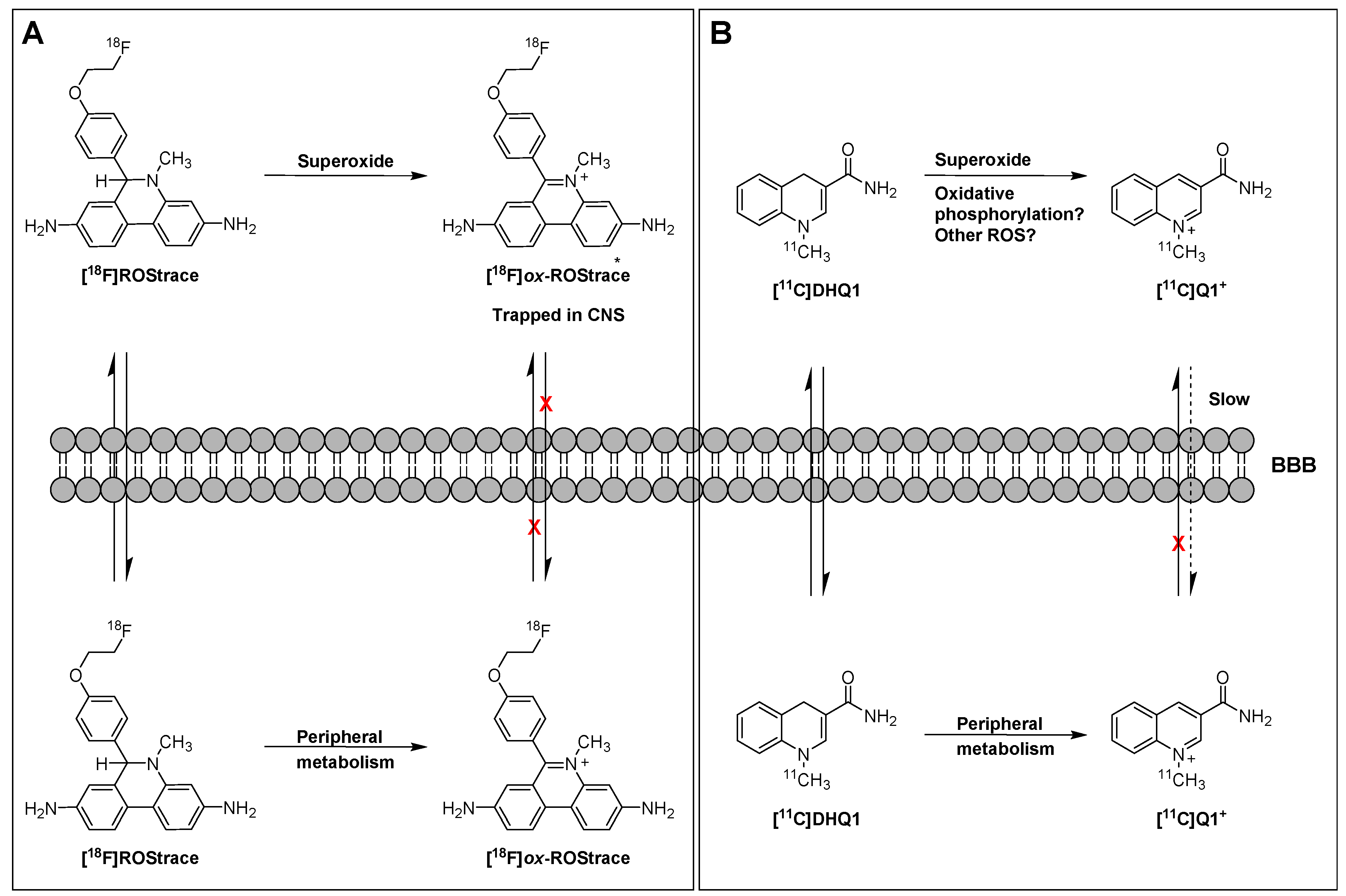 Molecules 23 00607 g007 Molecules 23 00607 g007