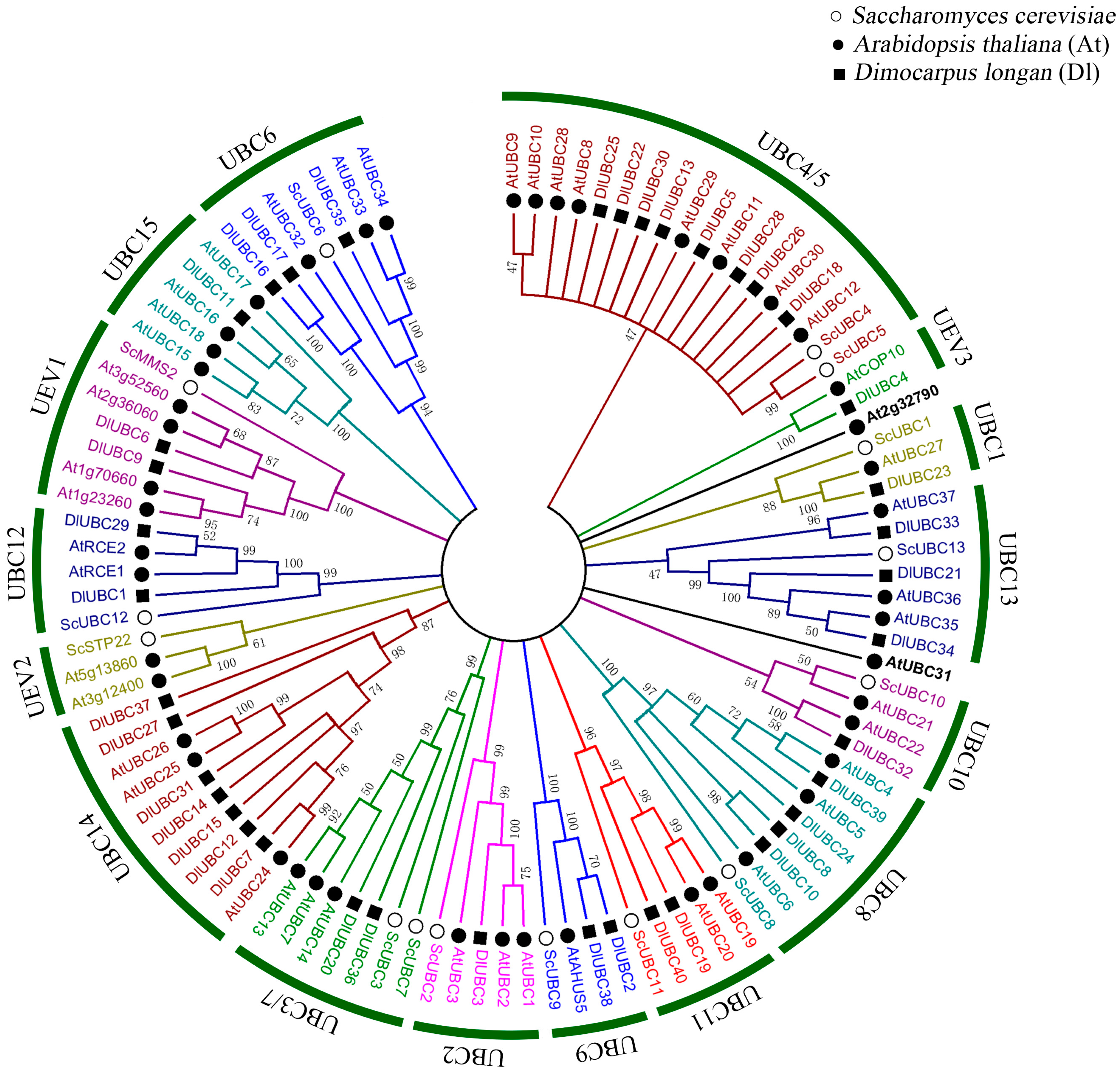 Molecules 23 00662 g002