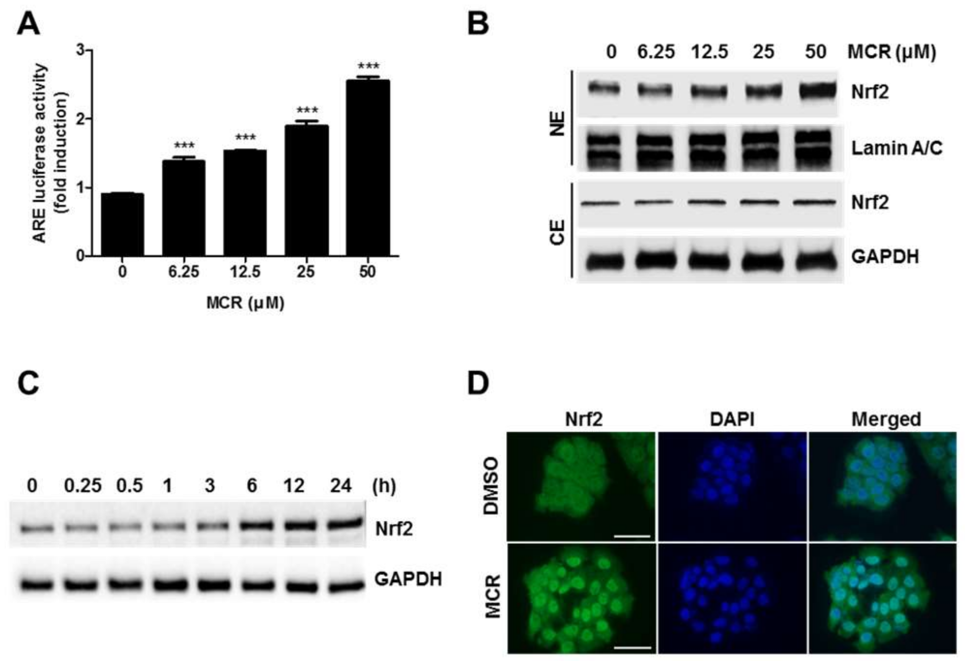 Molecules 23 00768 g002 Molecules 23 00768 g002