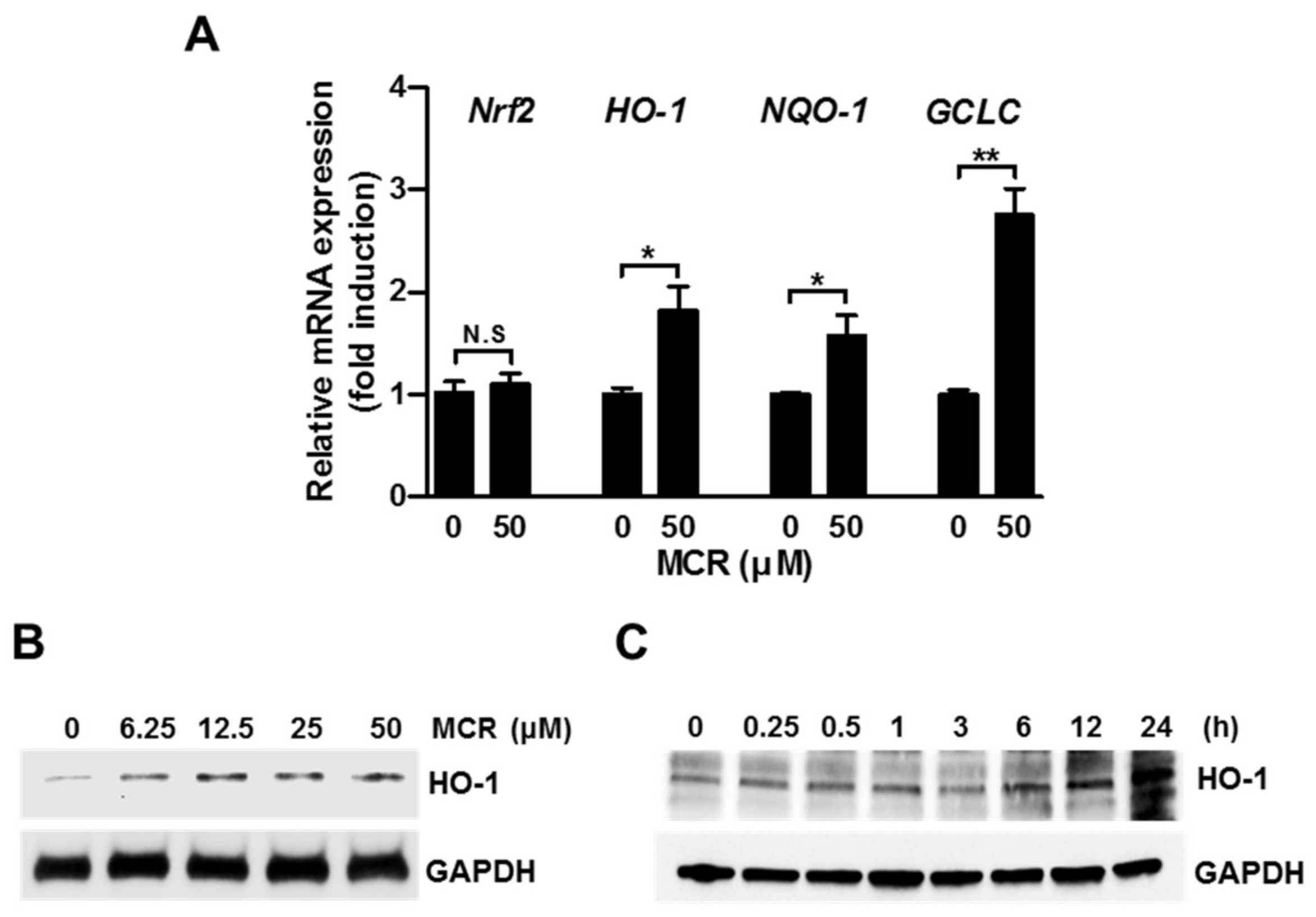 Molecules 23 00768 g003 Molecules 23 00768 g003