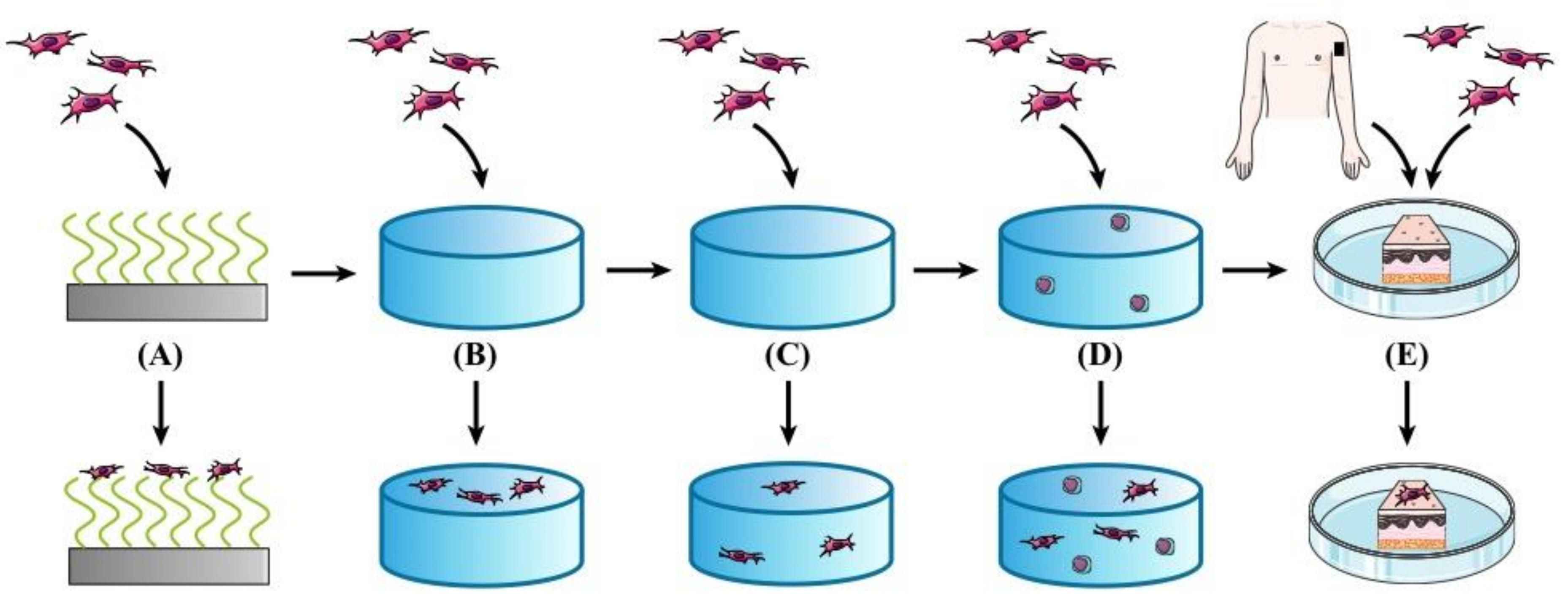 Molecules 23 00769 g001
