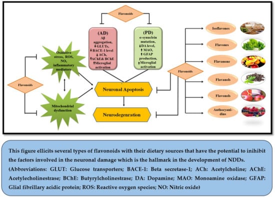 Molecules | Free Full-Text | Role of Plant-Derived Flavonoids and Their ...