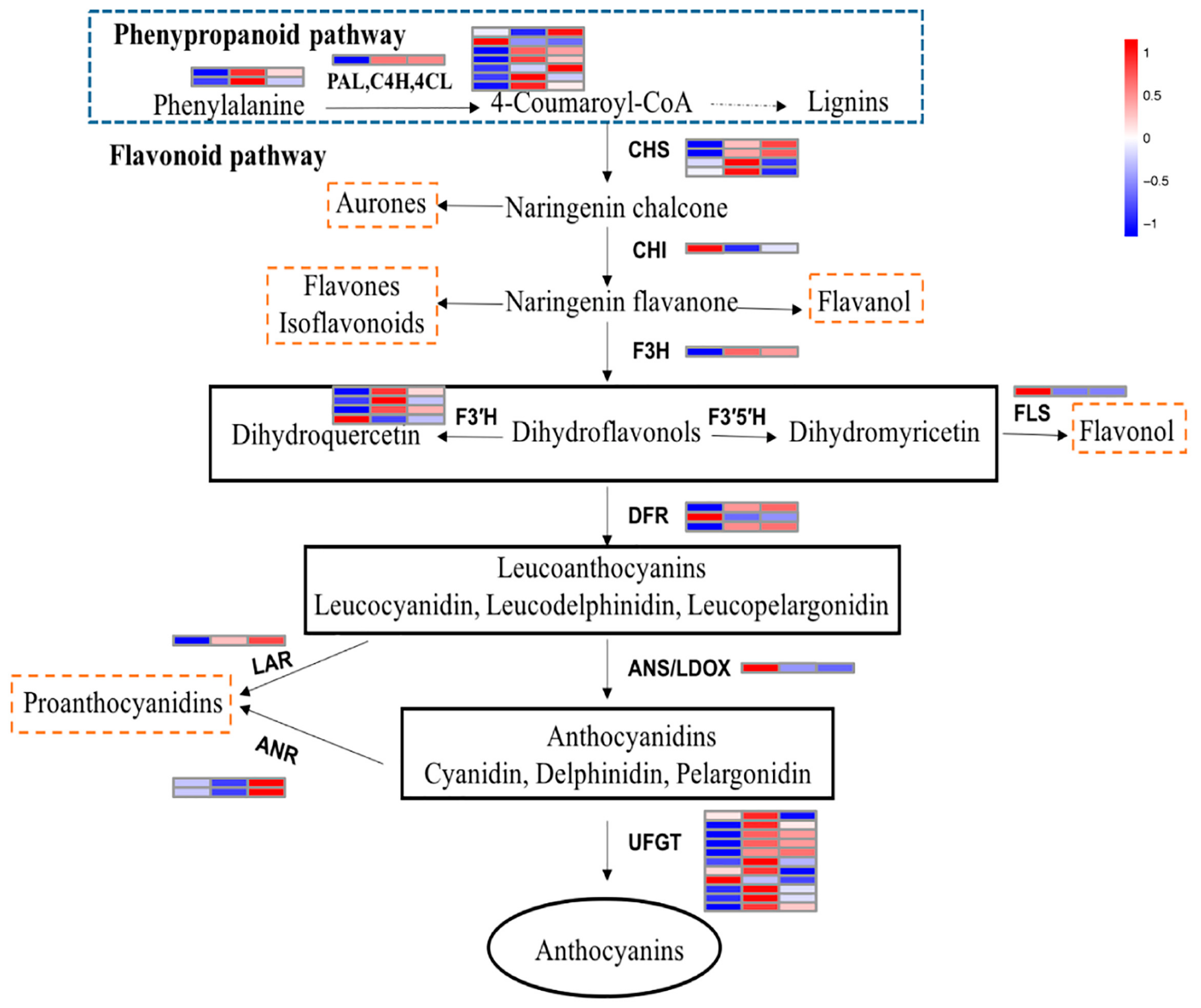 Molecules 23 00820 g006